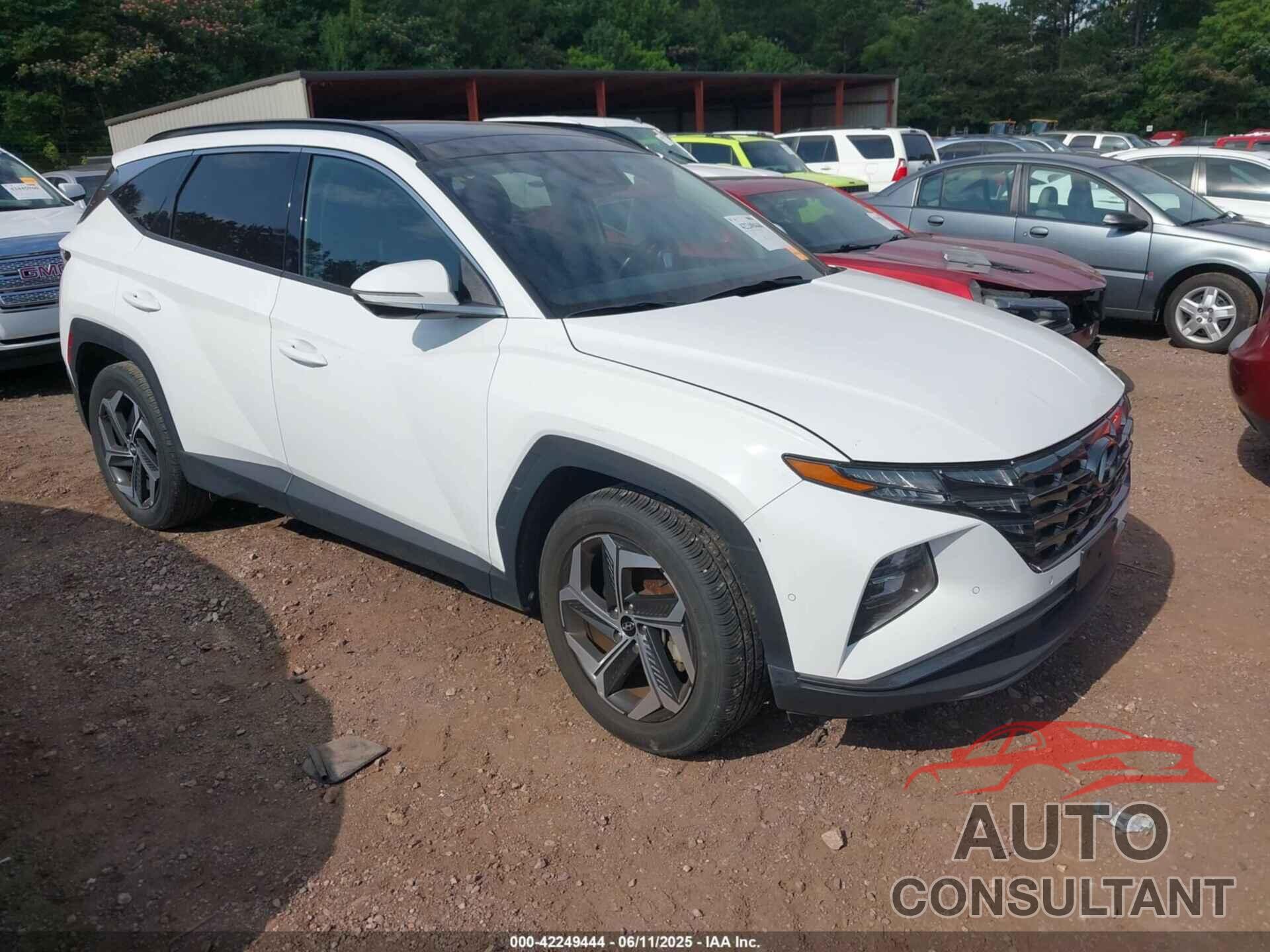 HYUNDAI TUCSON 2023 - 5NMJE3AE5PH193077