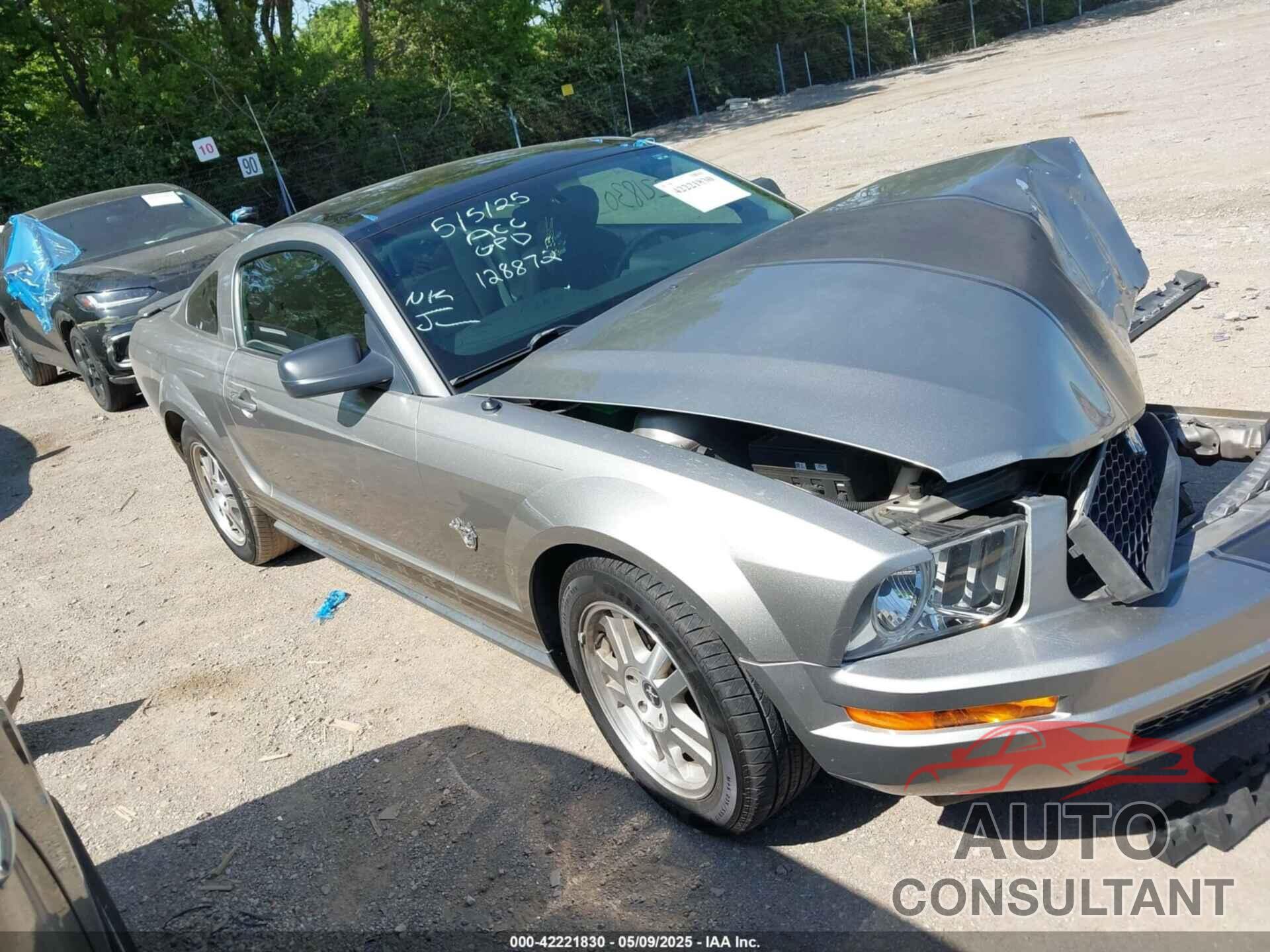FORD MUSTANG 2009 - 1ZVHT80N295128872