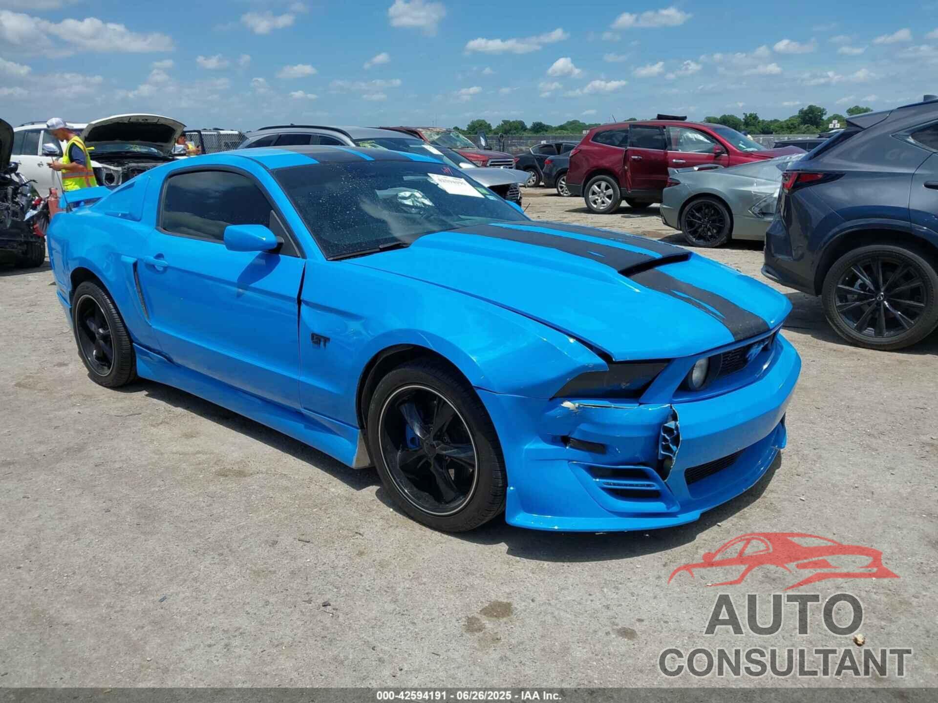 FORD MUSTANG 2010 - 1ZVBP8CH8A5132736