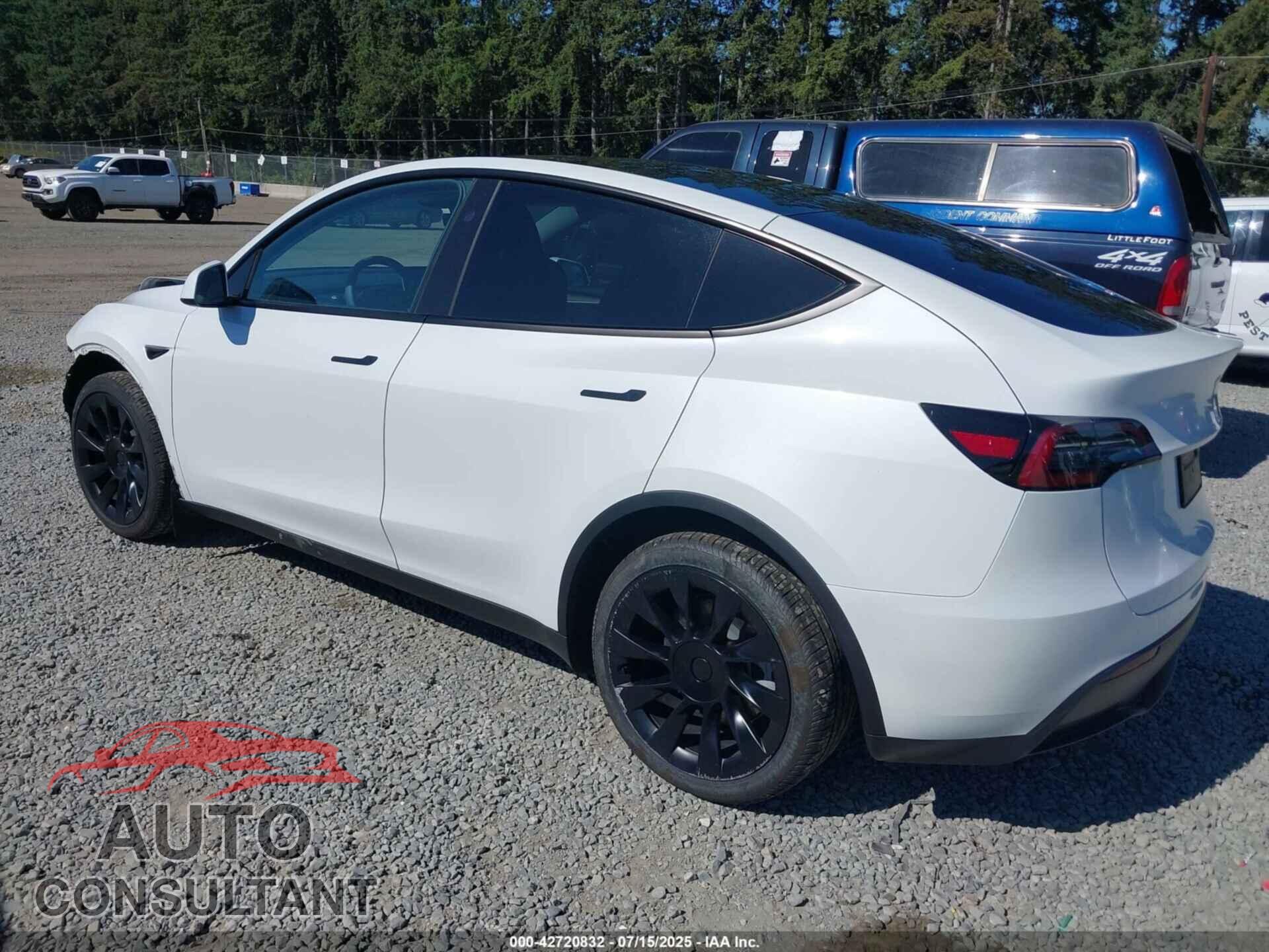 TESLA MODEL Y 2024 - 7SAYGDEEXRF164237