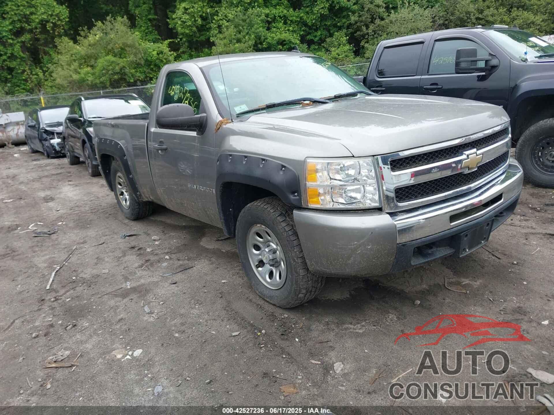 CHEVROLET SILVERADO 1500 2009 - 1GCEK14X09Z237044