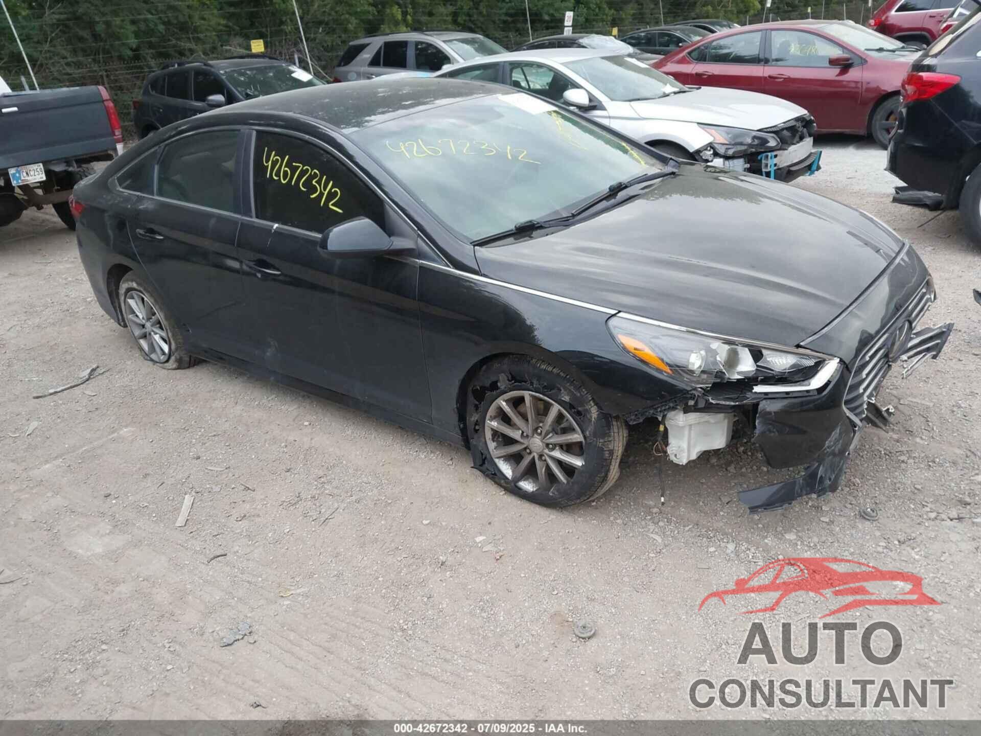 HYUNDAI SONATA 2019 - 5NPE24AF5KH778472