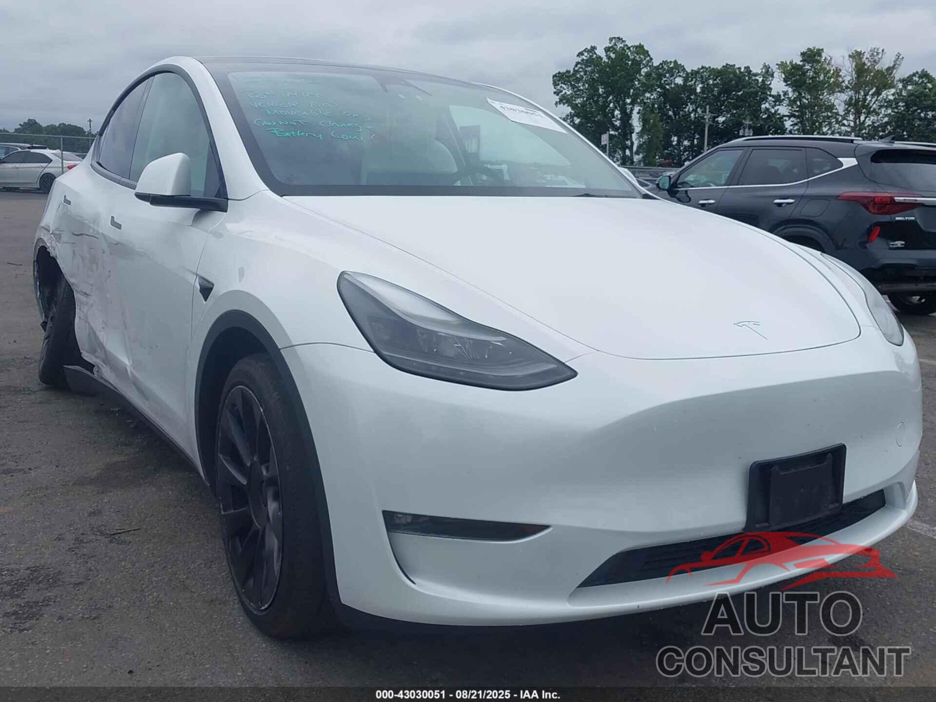 TESLA MODEL Y 2023 - 7SAYGAEE5PF664625