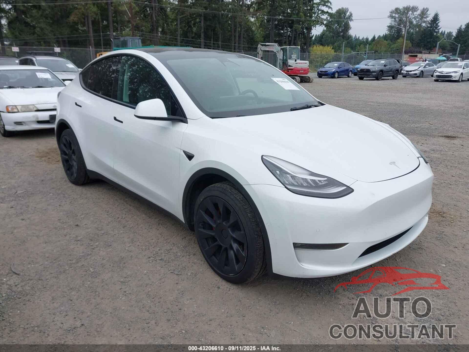 TESLA MODEL Y 2021 - 5YJYGDEE8MF241287