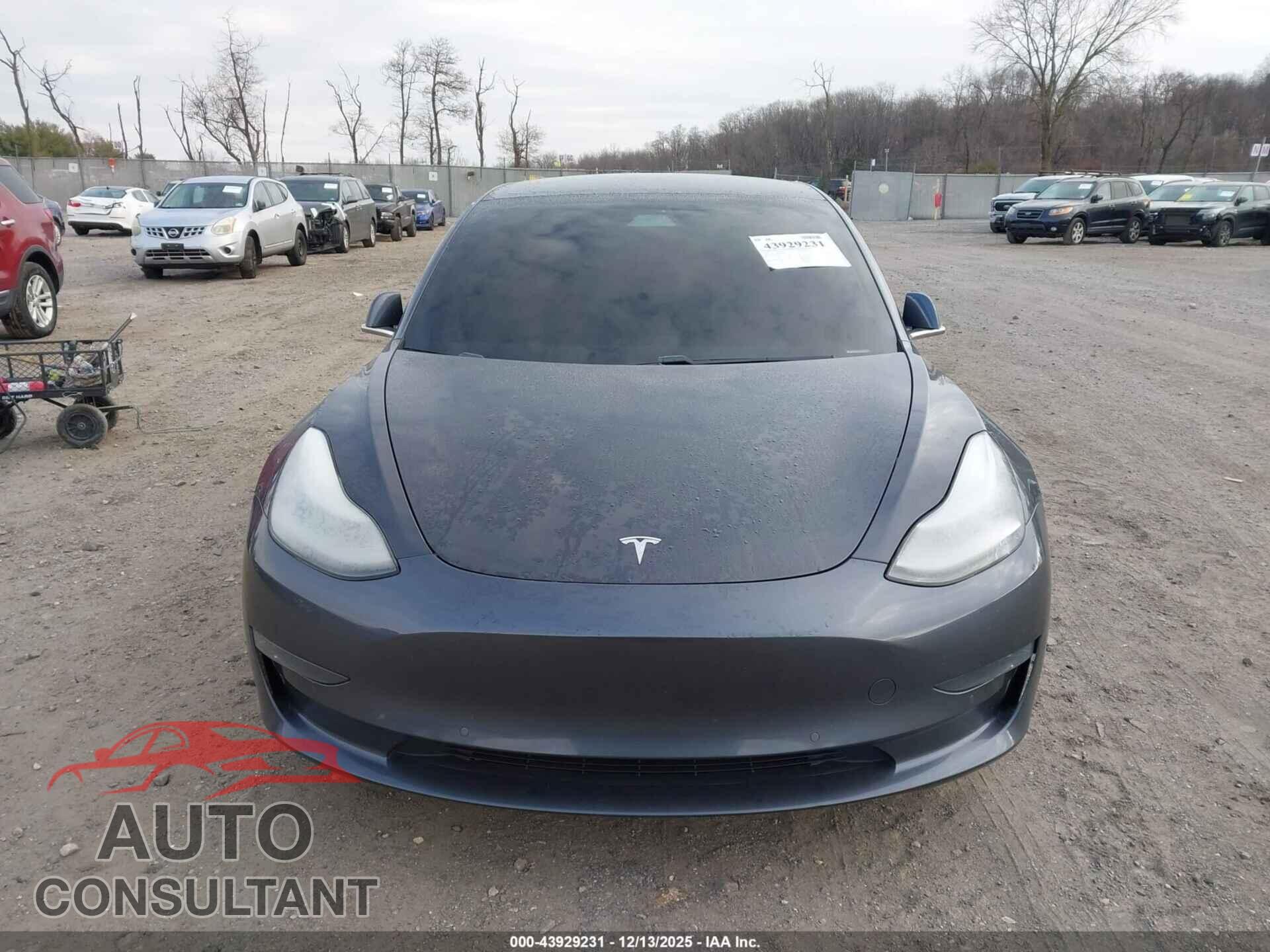 TESLA MODEL 3 2019 - 5YJ3E1EA4KF400105