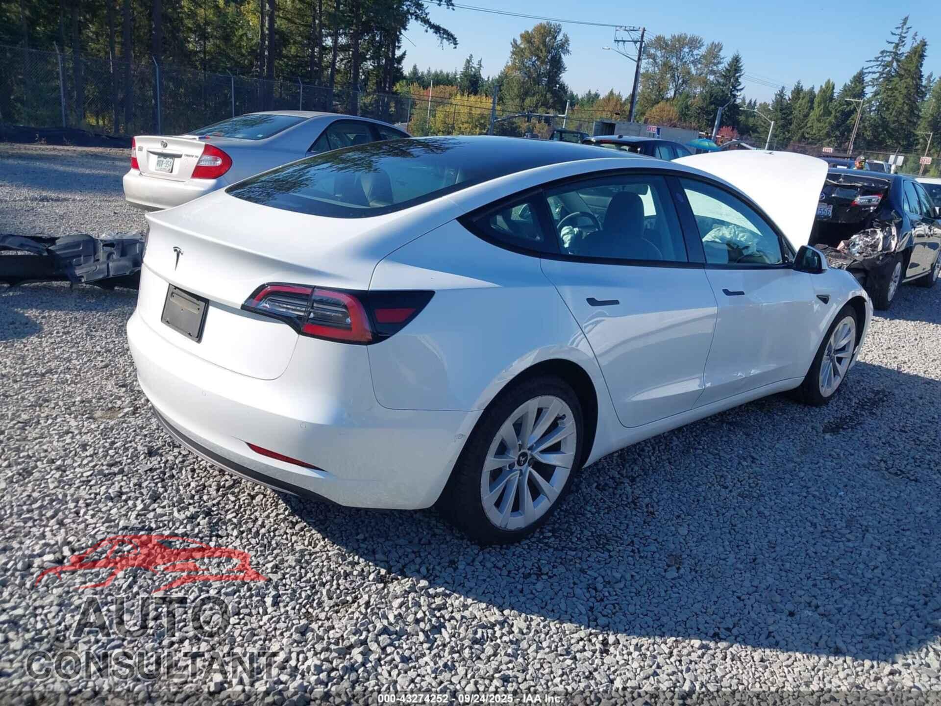 TESLA MODEL 3 2021 - 5YJ3E1EA2MF918331