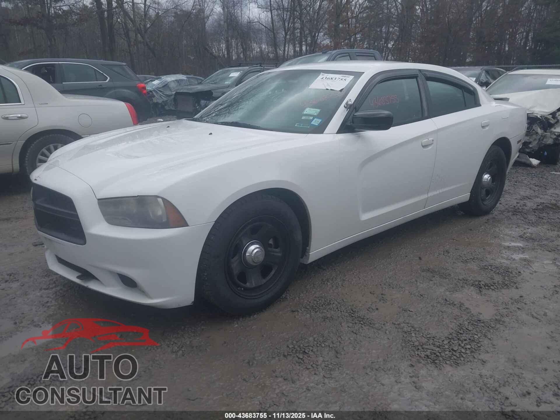 DODGE CHARGER 2013 - 2C3CDXAG8DH713076