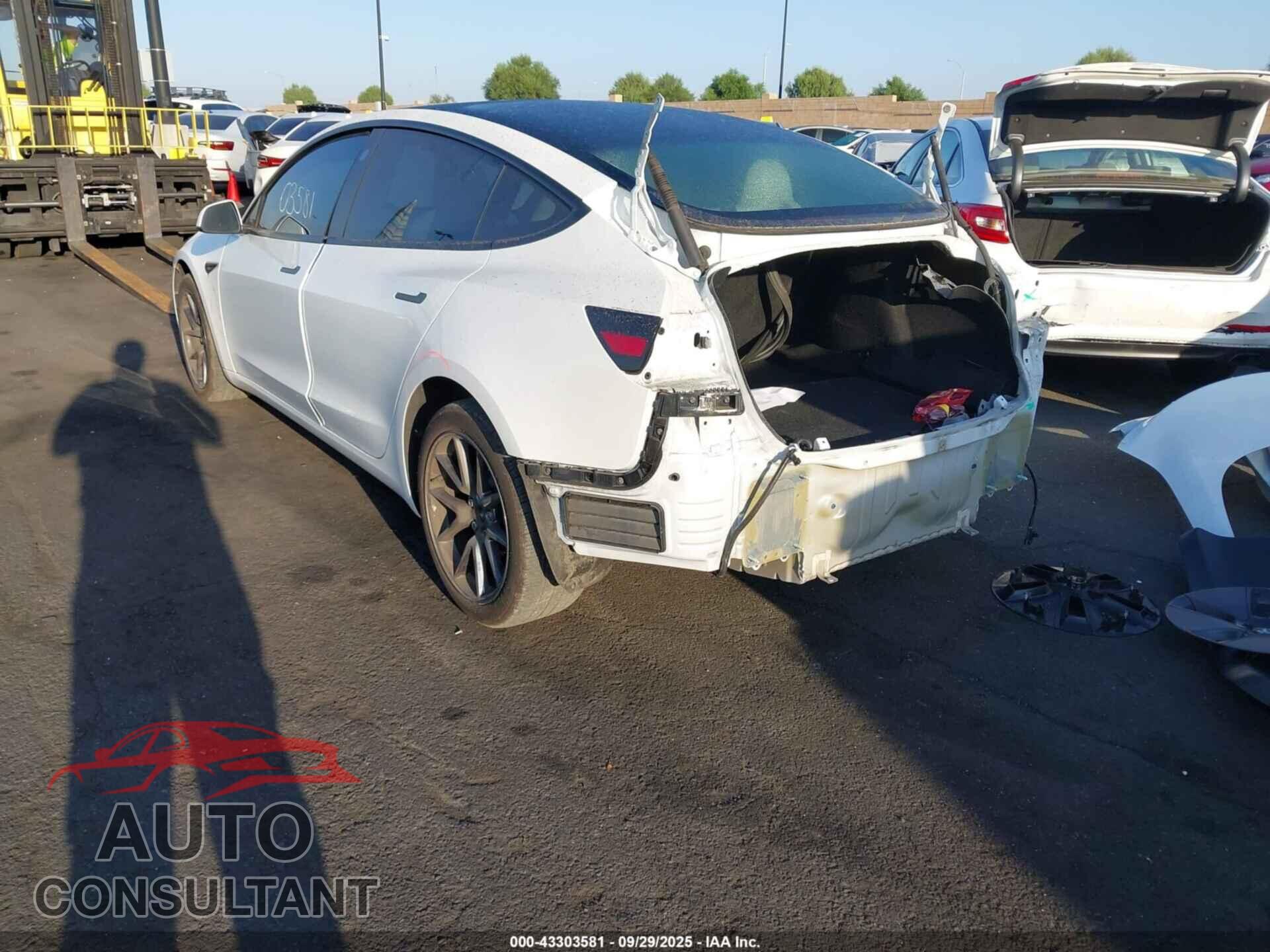 TESLA MODEL 3 2023 - 5YJ3E1EA2PF499871