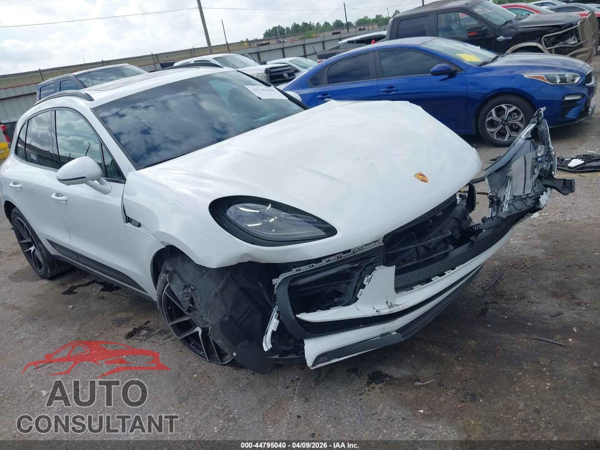 PORSCHE MACAN 2023 - WP1AA2A54PLB21841