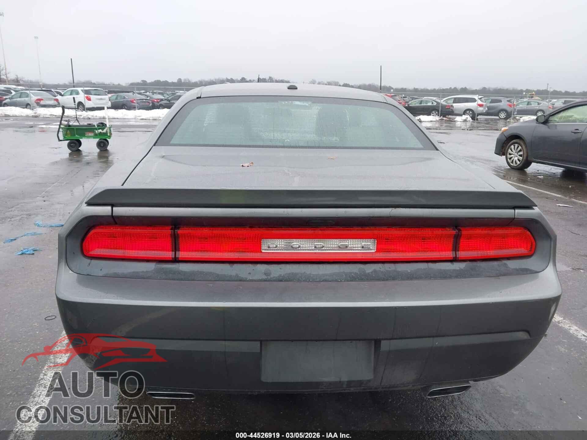 DODGE CHALLENGER 2012 - 2C3CDYBT9CH220460