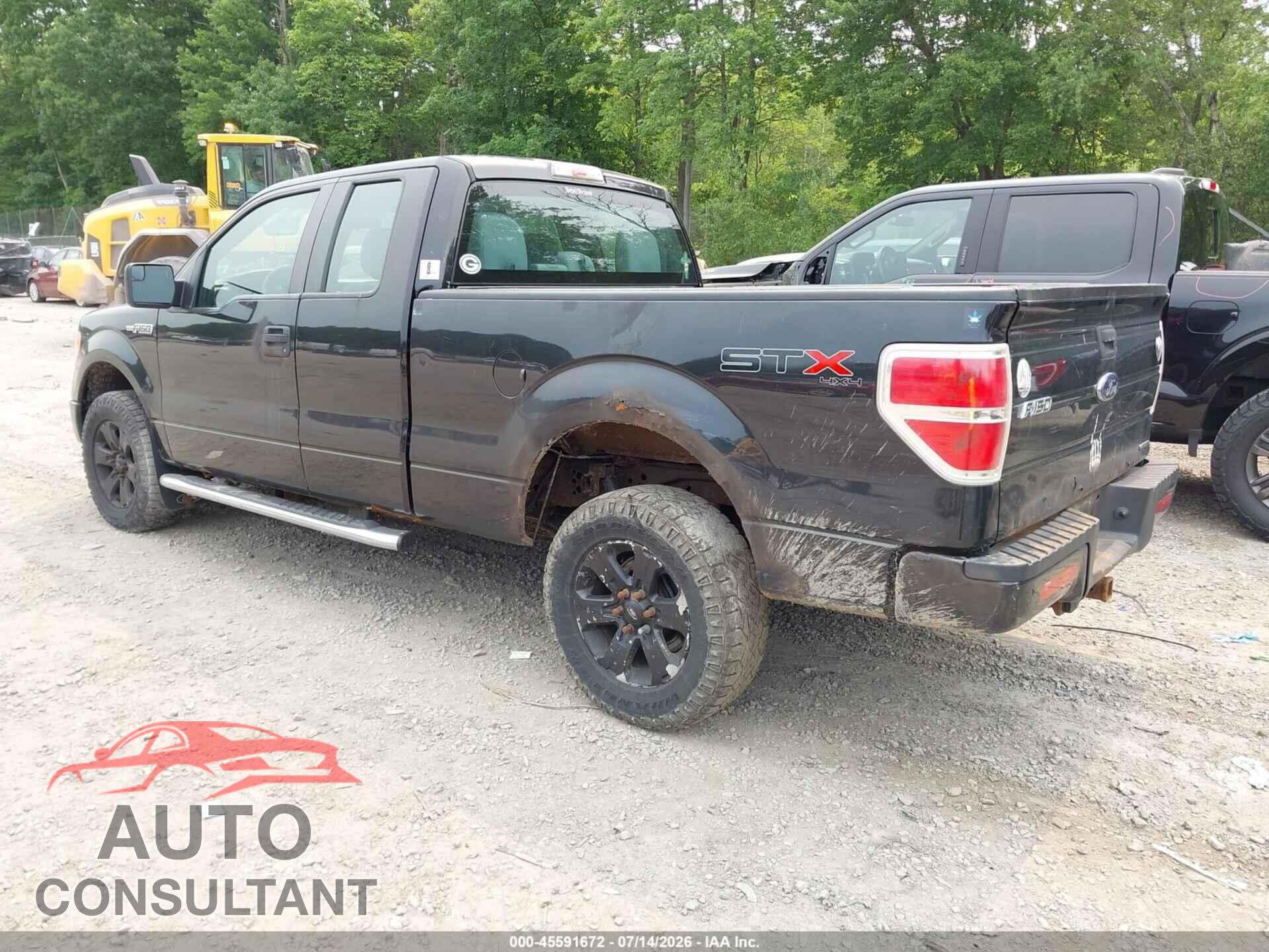 FORD F-150 2013 - 1FTFX1EF8DFD60807