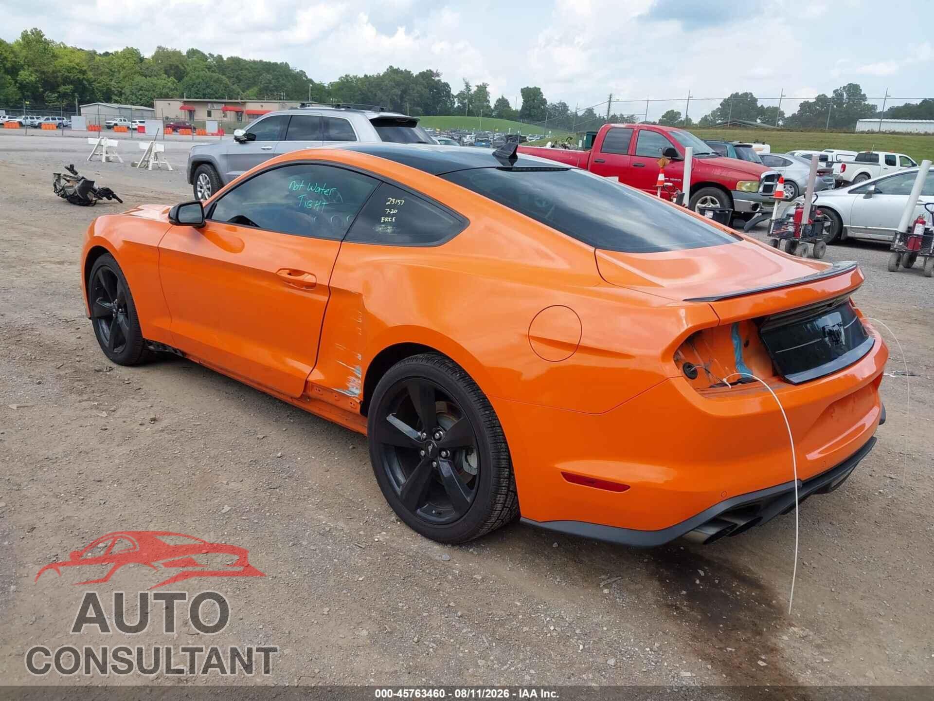 FORD MUSTANG 2021 - 1FA6P8TH5M5111504