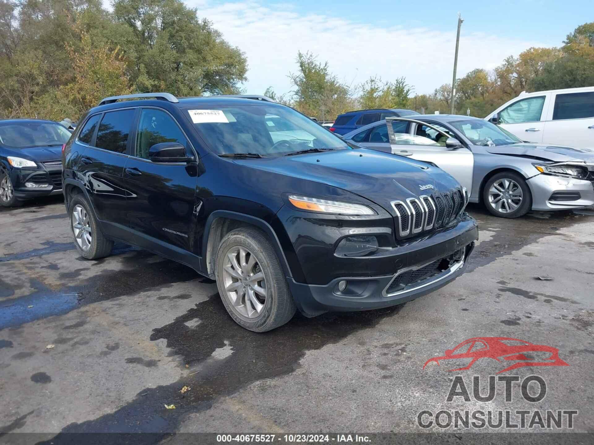 JEEP CHEROKEE 2014 - 1C4PJMDS9EW266300