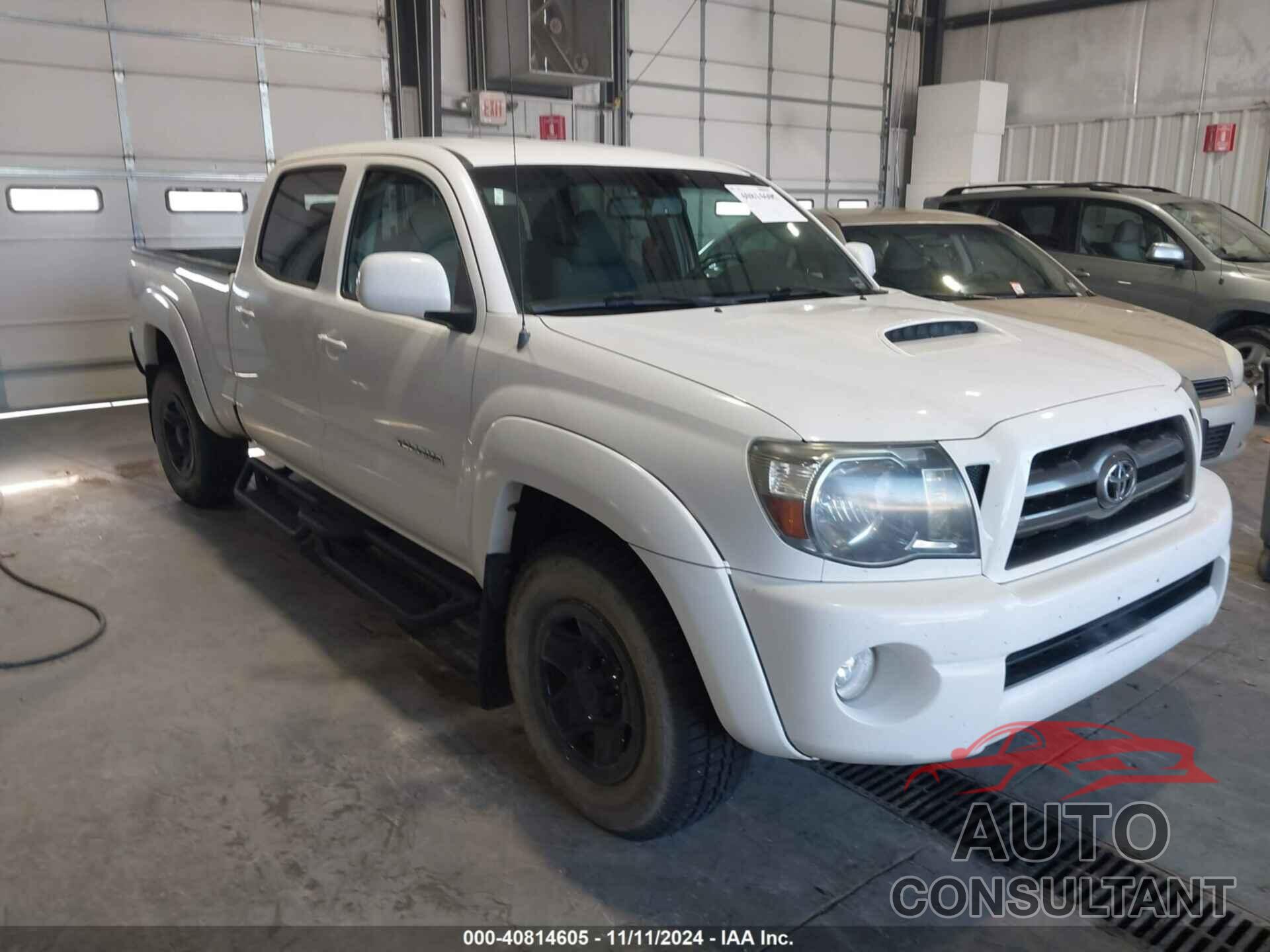 TOYOTA TACOMA 2009 - 5TEMU52N69Z606721