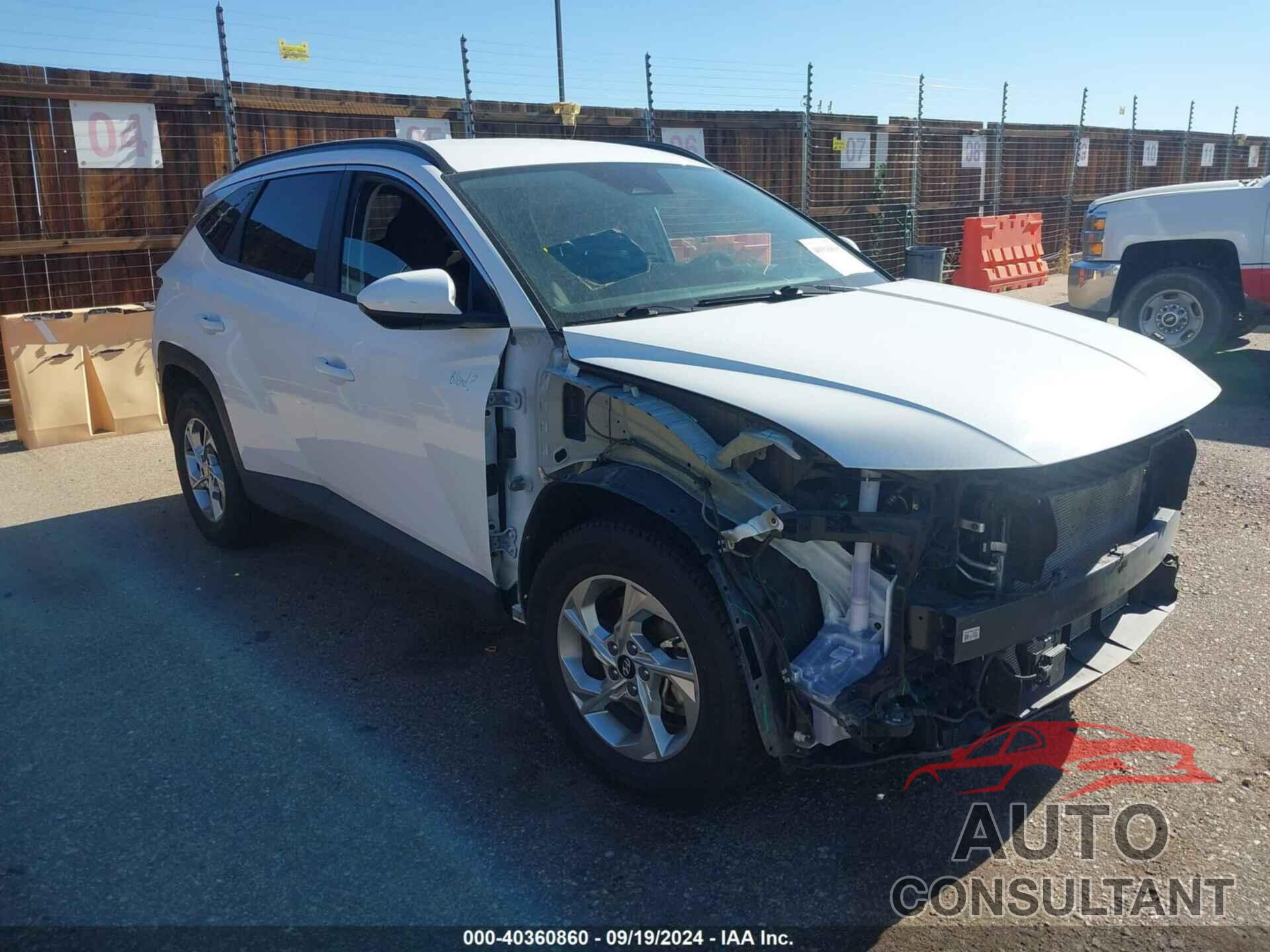 HYUNDAI TUCSON 2024 - 5NMJBCDE7RH295956