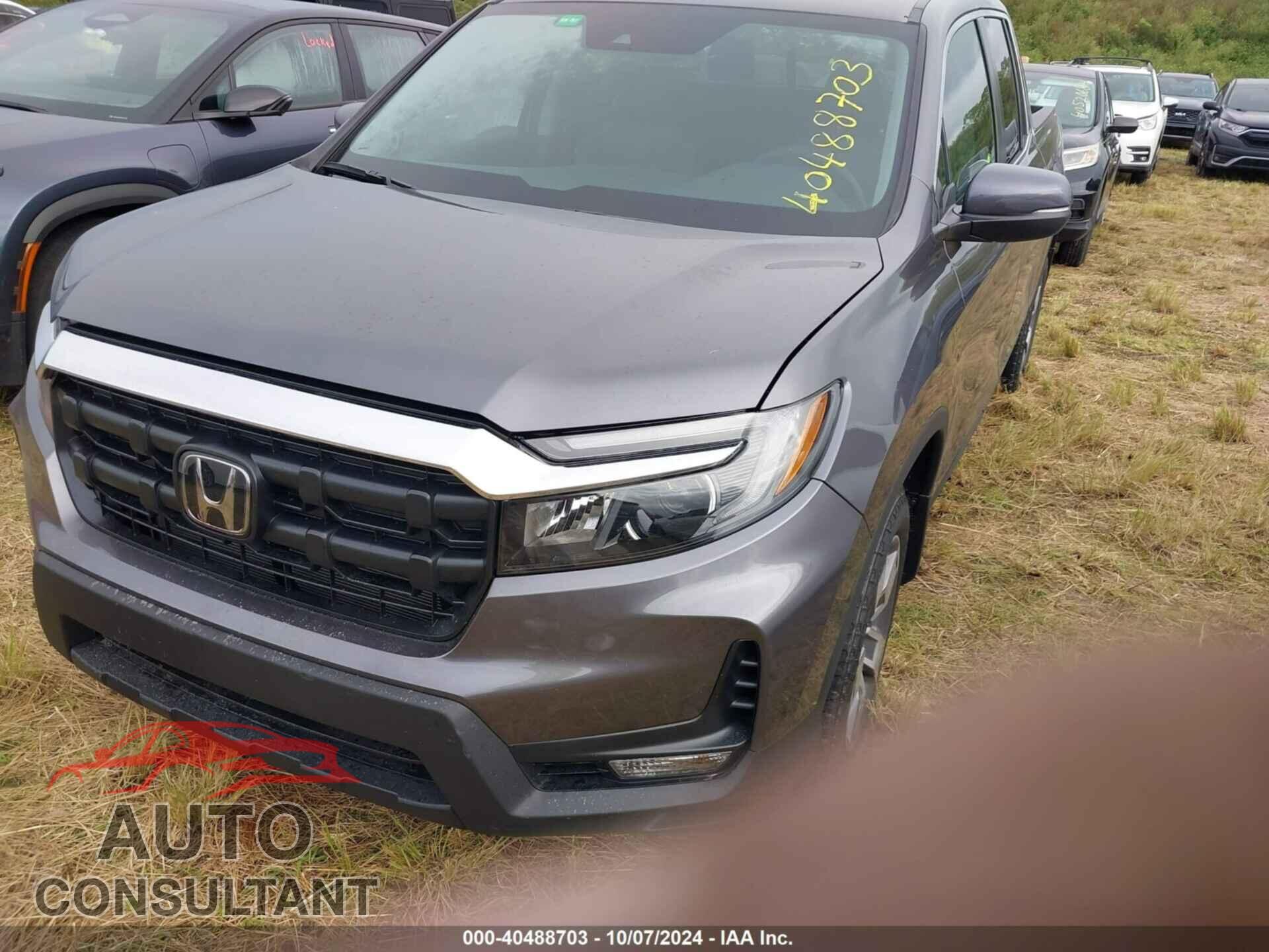 HONDA RIDGELINE 2024 - 5FPYK3F55RB032126