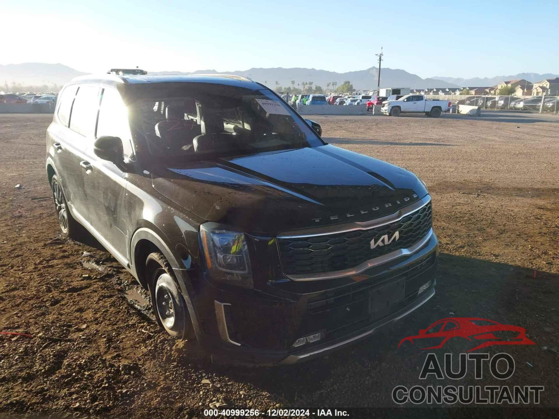 KIA TELLURIDE 2022 - 5XYP5DHC1NG211117