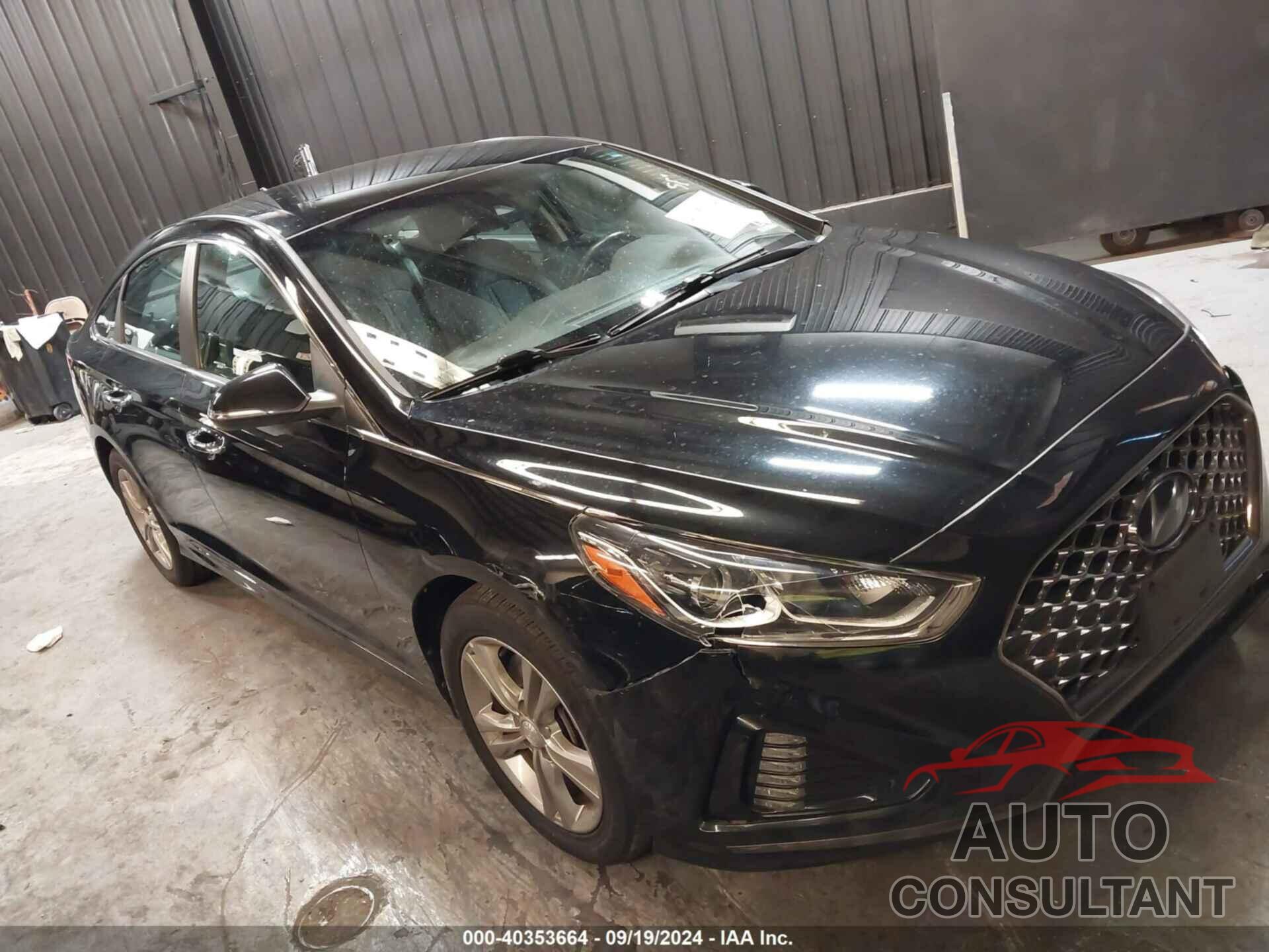 HYUNDAI SONATA 2019 - 5NPE34AF4KH763605