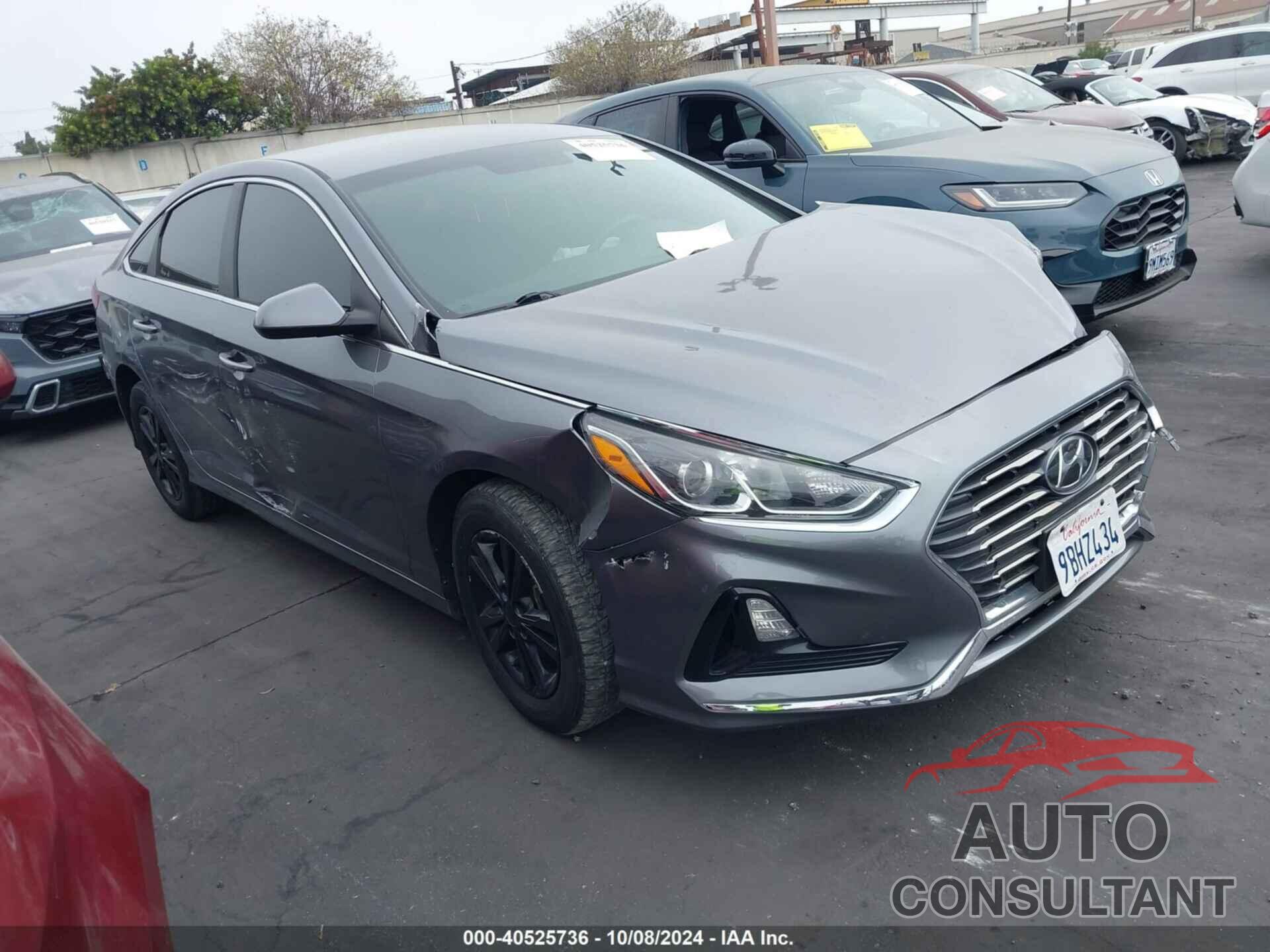 HYUNDAI SONATA 2019 - 5NPE24AF7KH756053
