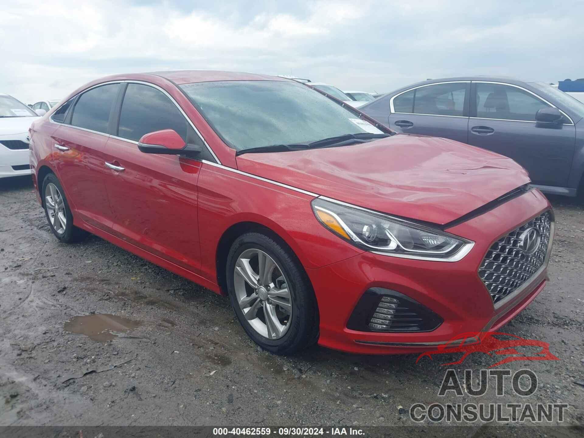 HYUNDAI SONATA 2019 - 5NPE34AF8KH748458