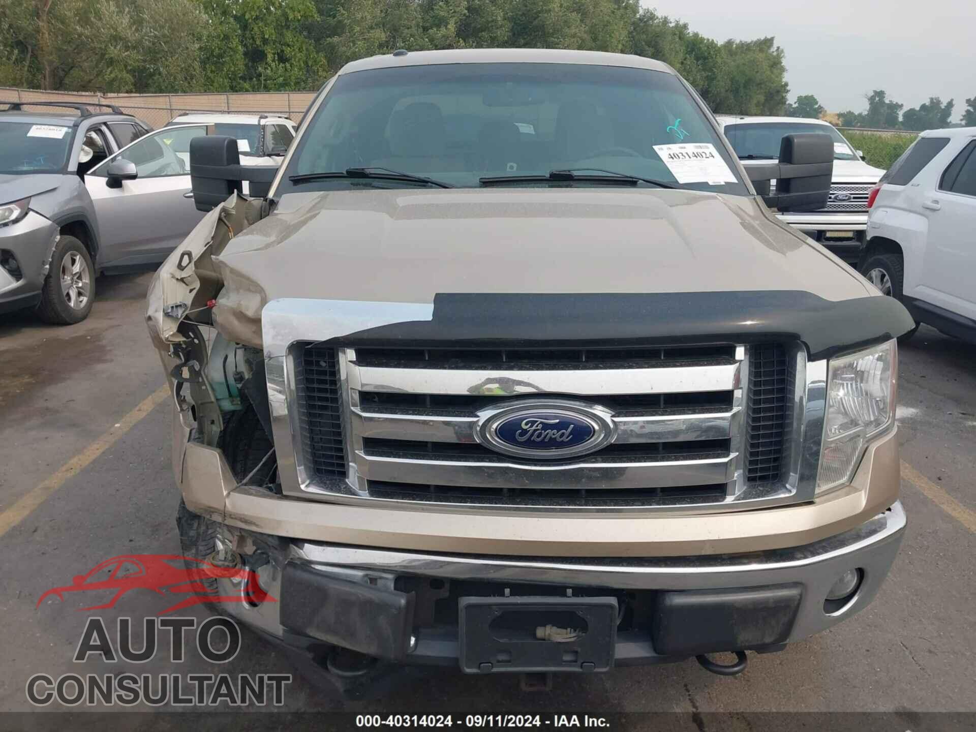FORD F-150 2012 - 1FTFX1EF7CFB29492