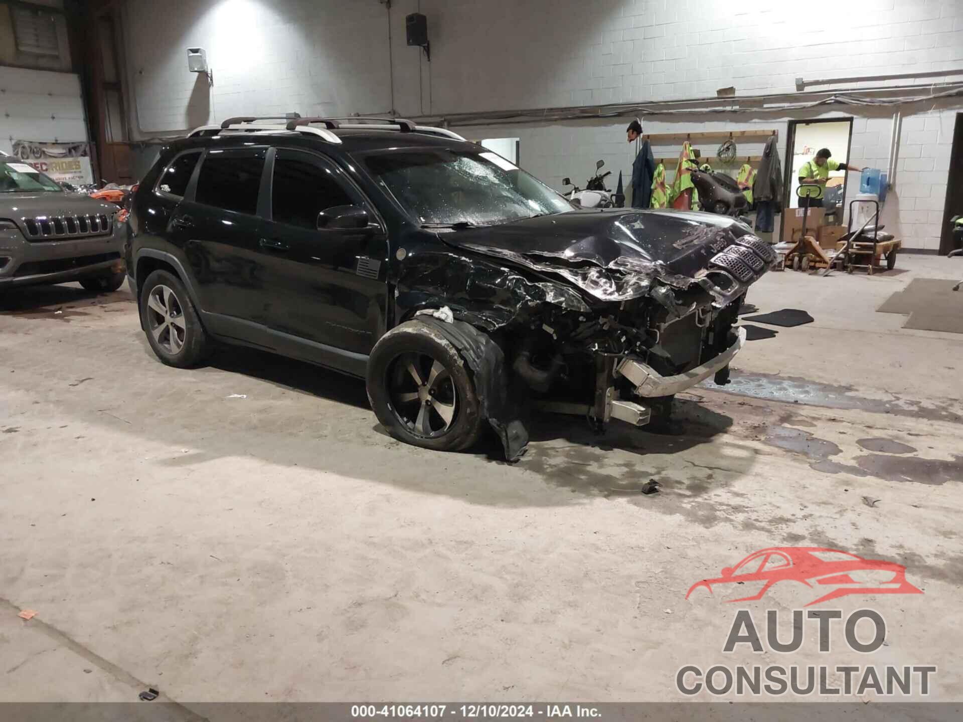 JEEP CHEROKEE 2019 - 1C4PJMDN1KD251730