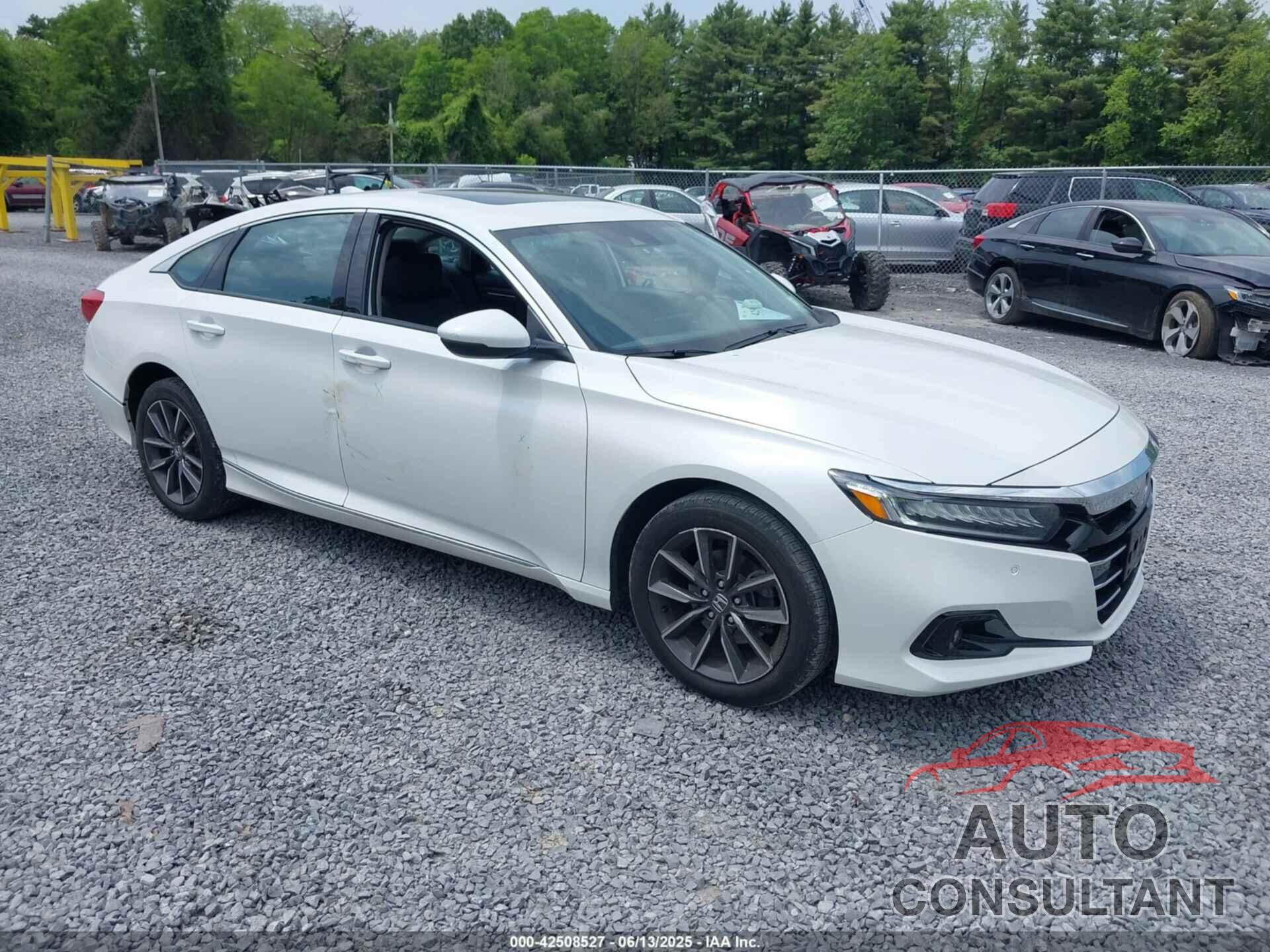 HONDA ACCORD 2021 - 1HGCV1F56MA007706
