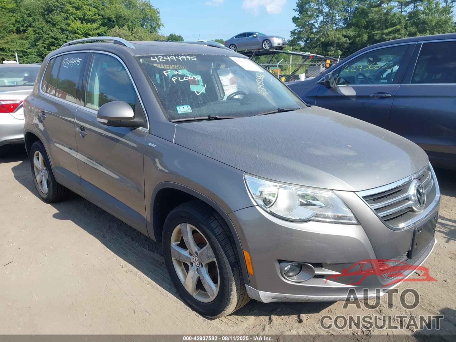 VOLKSWAGEN TIGUAN 2010 - WVGBV7AX9AW531450