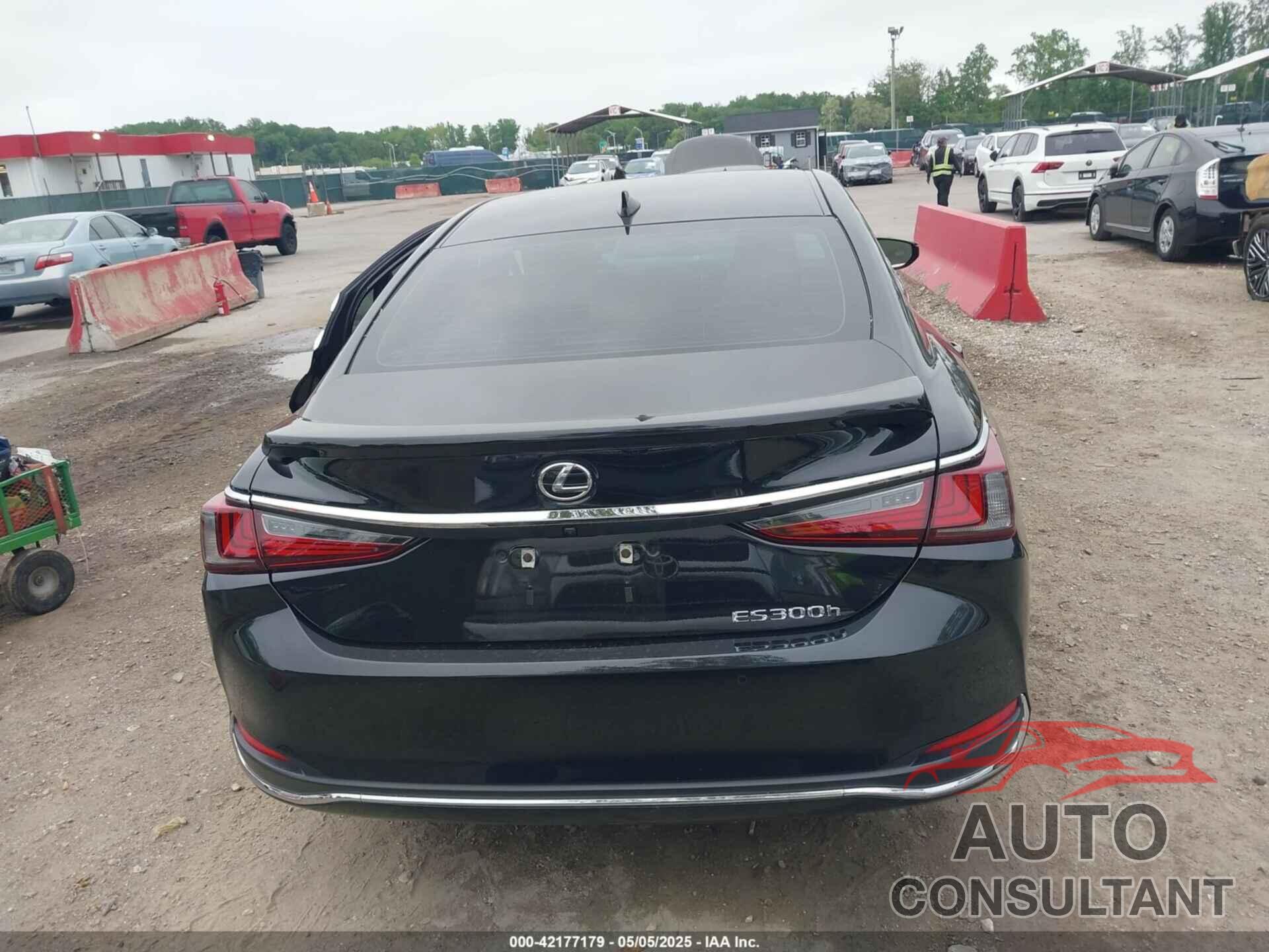 LEXUS ES 300H 2024 - 58AFA1C13RU048538