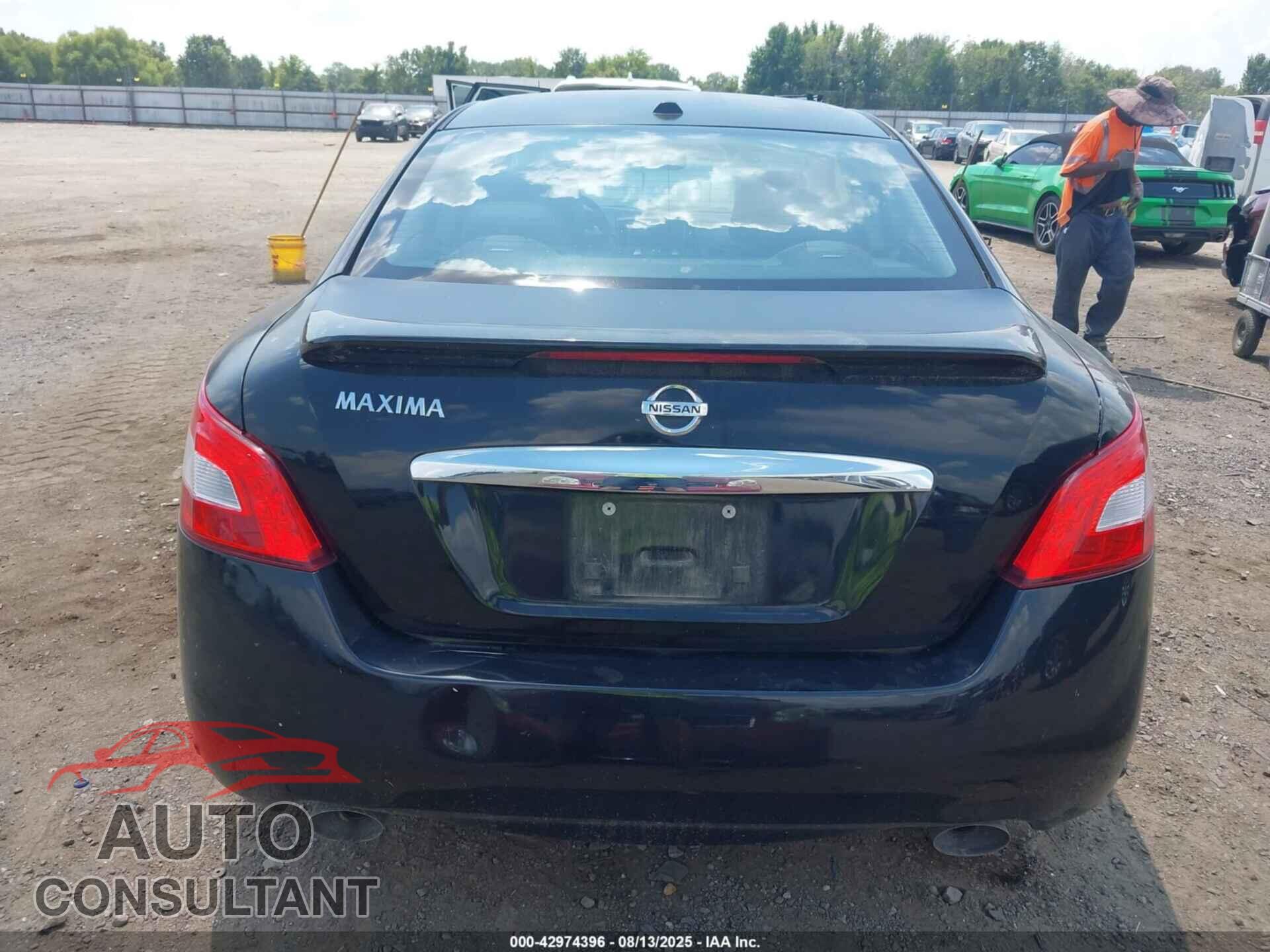 NISSAN MAXIMA 2009 - 1N4AA51EX9C856187