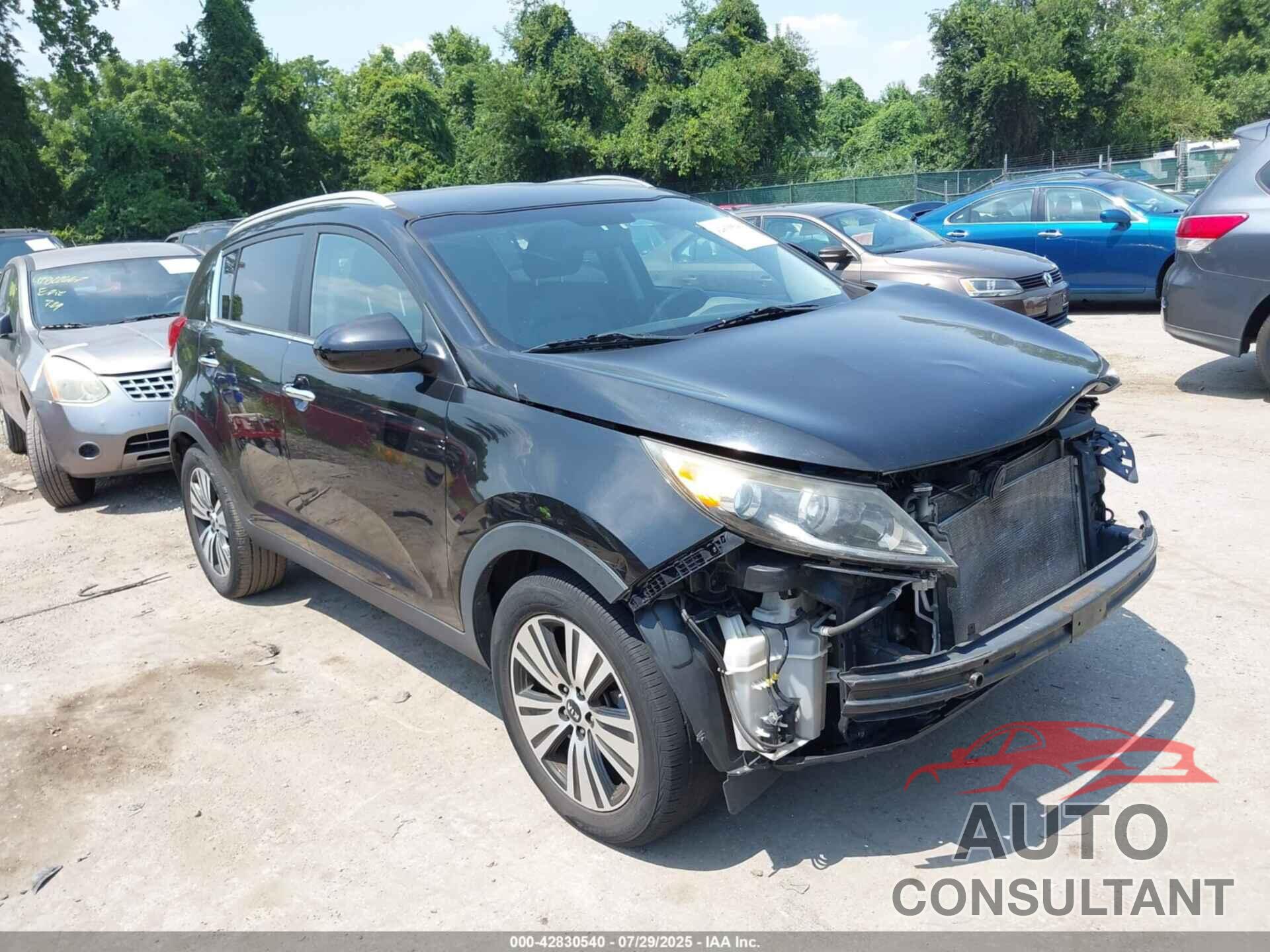 KIA SPORTAGE 2016 - KNDPC3AC1G7815115