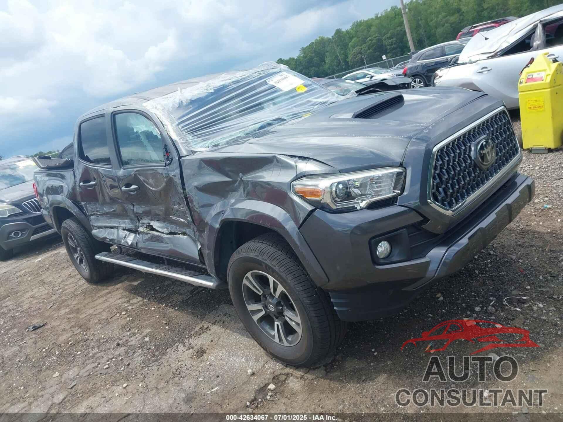 TOYOTA TACOMA 2019 - 3TMAZ5CN5KM095489