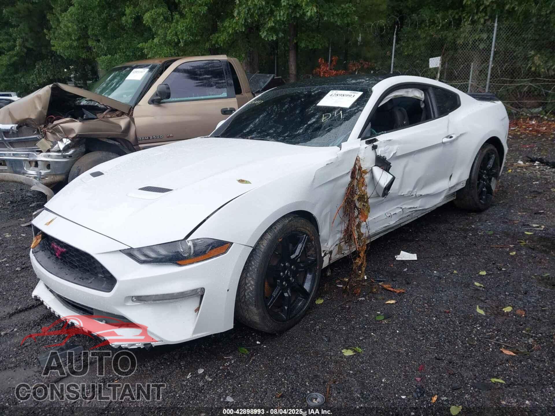 FORD MUSTANG 2019 - 1FA6P8TH3K5111482