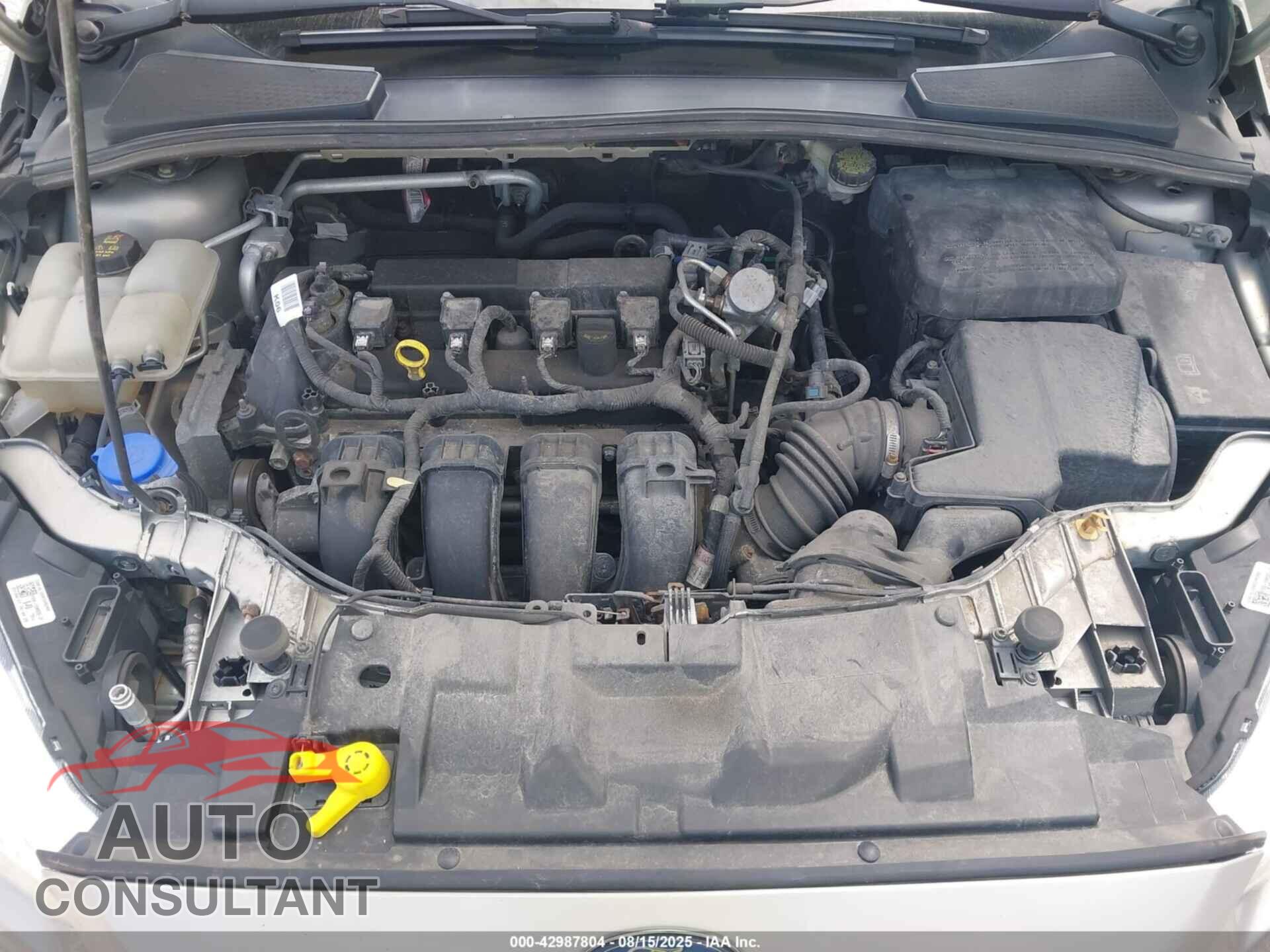 FORD FOCUS 2016 - 1FADP3F28GL350613