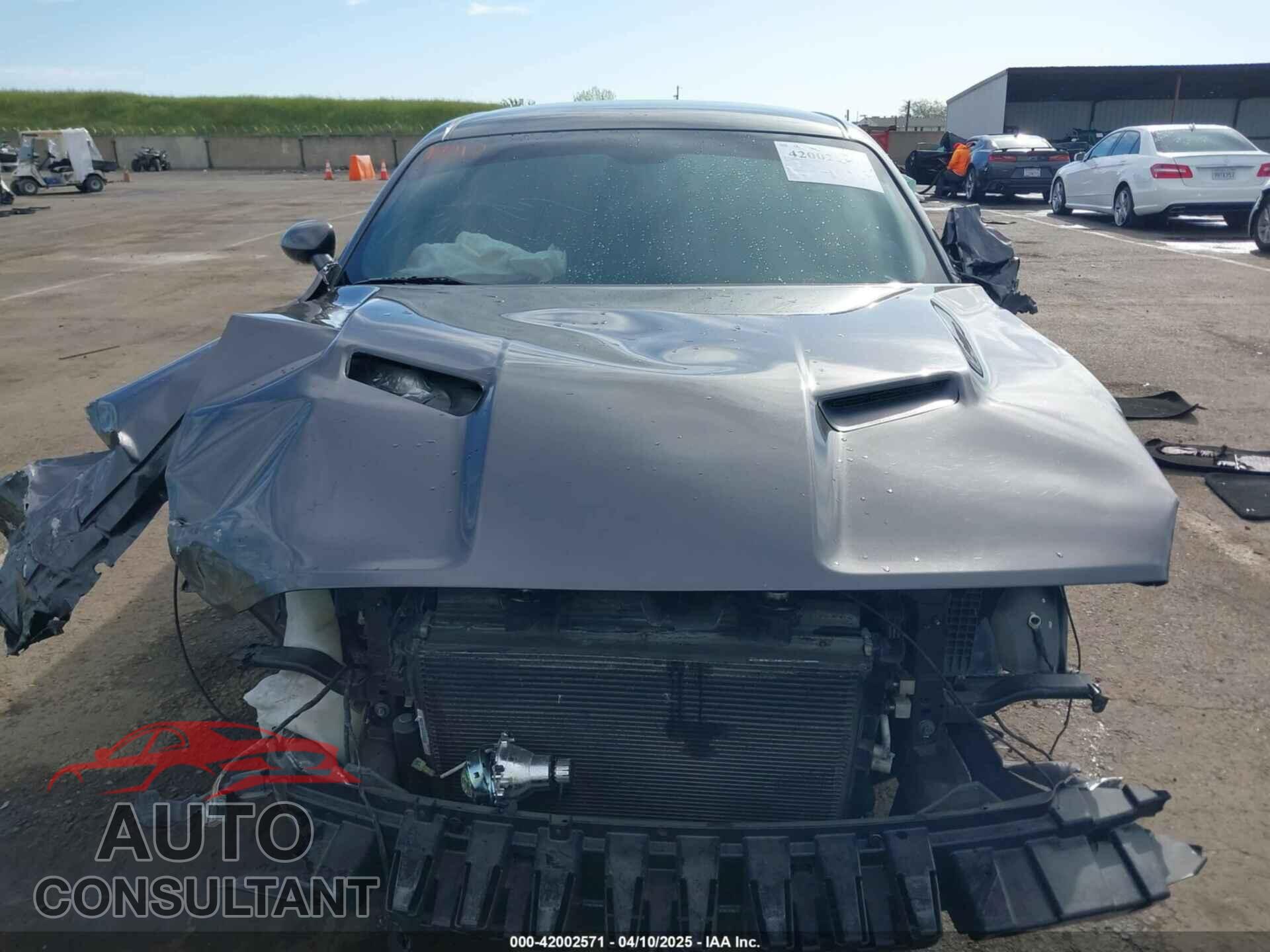 DODGE CHALLENGER 2019 - 2C3CDZAG8KH666463