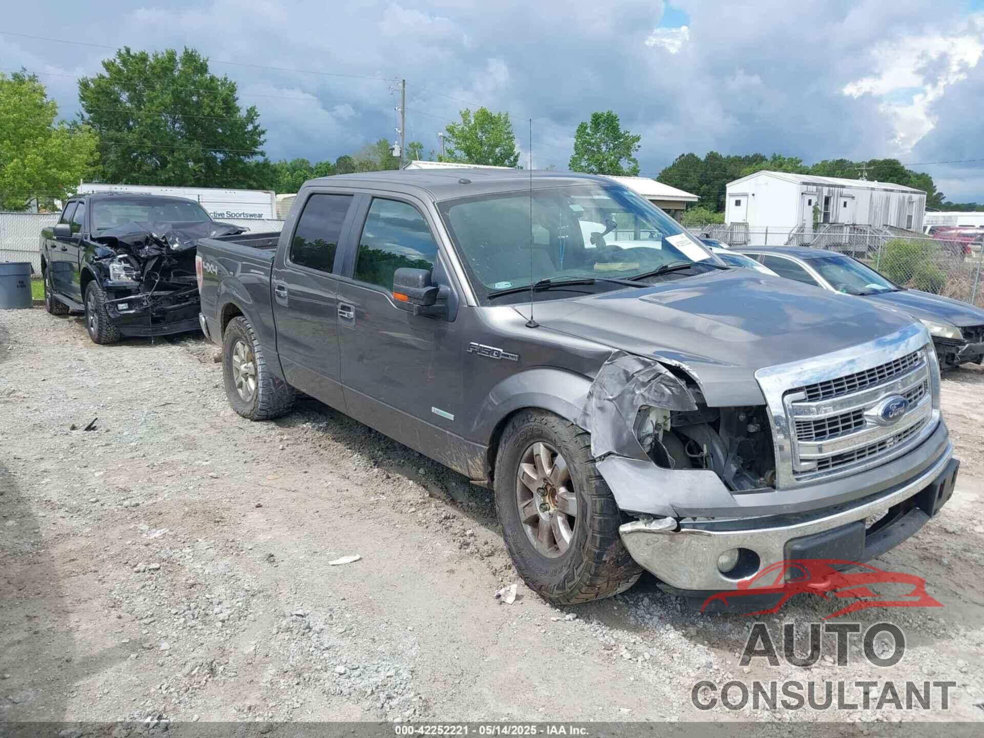 FORD F-150 2013 - 1FTFW1ET6DKG16961