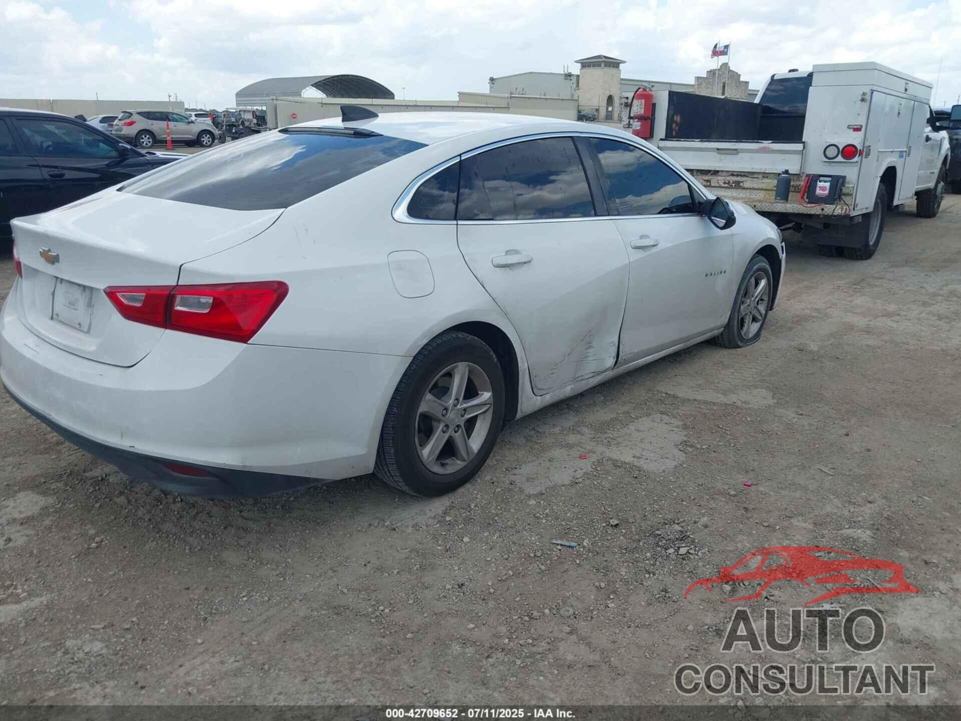 CHEVROLET MALIBU 2019 - 1G1ZB5ST2KF173727