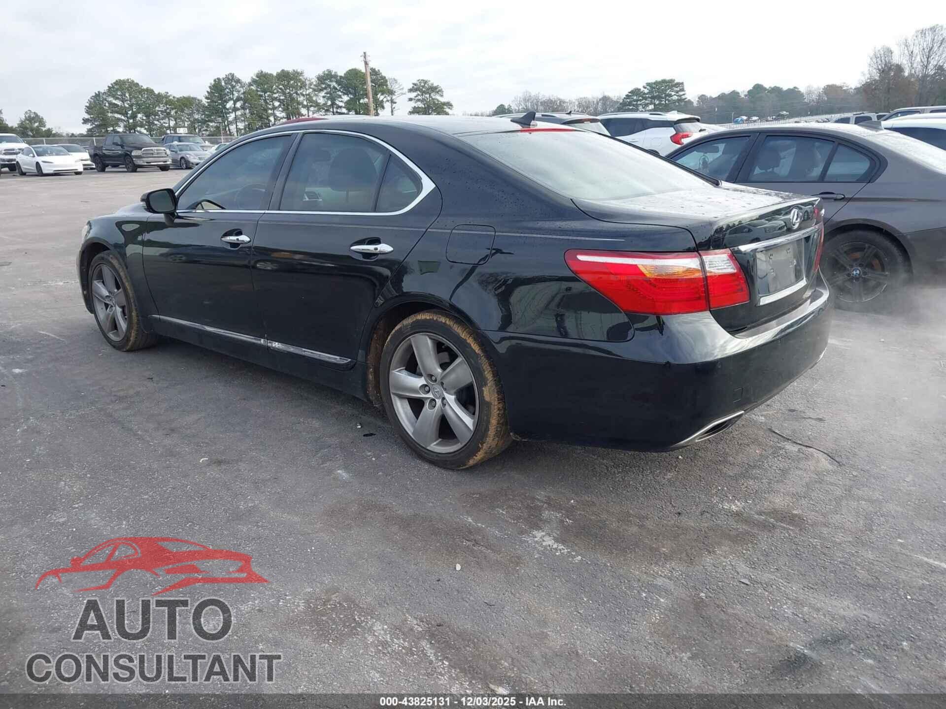 LEXUS LS 460 2011 - JTHBL5EF5B5105096