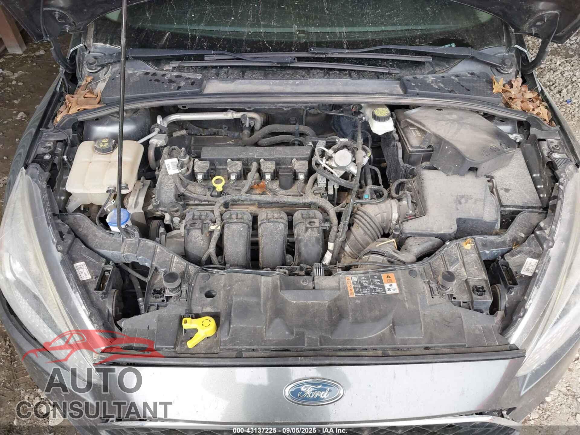 FORD FOCUS 2017 - 1FADP3F24HL299533