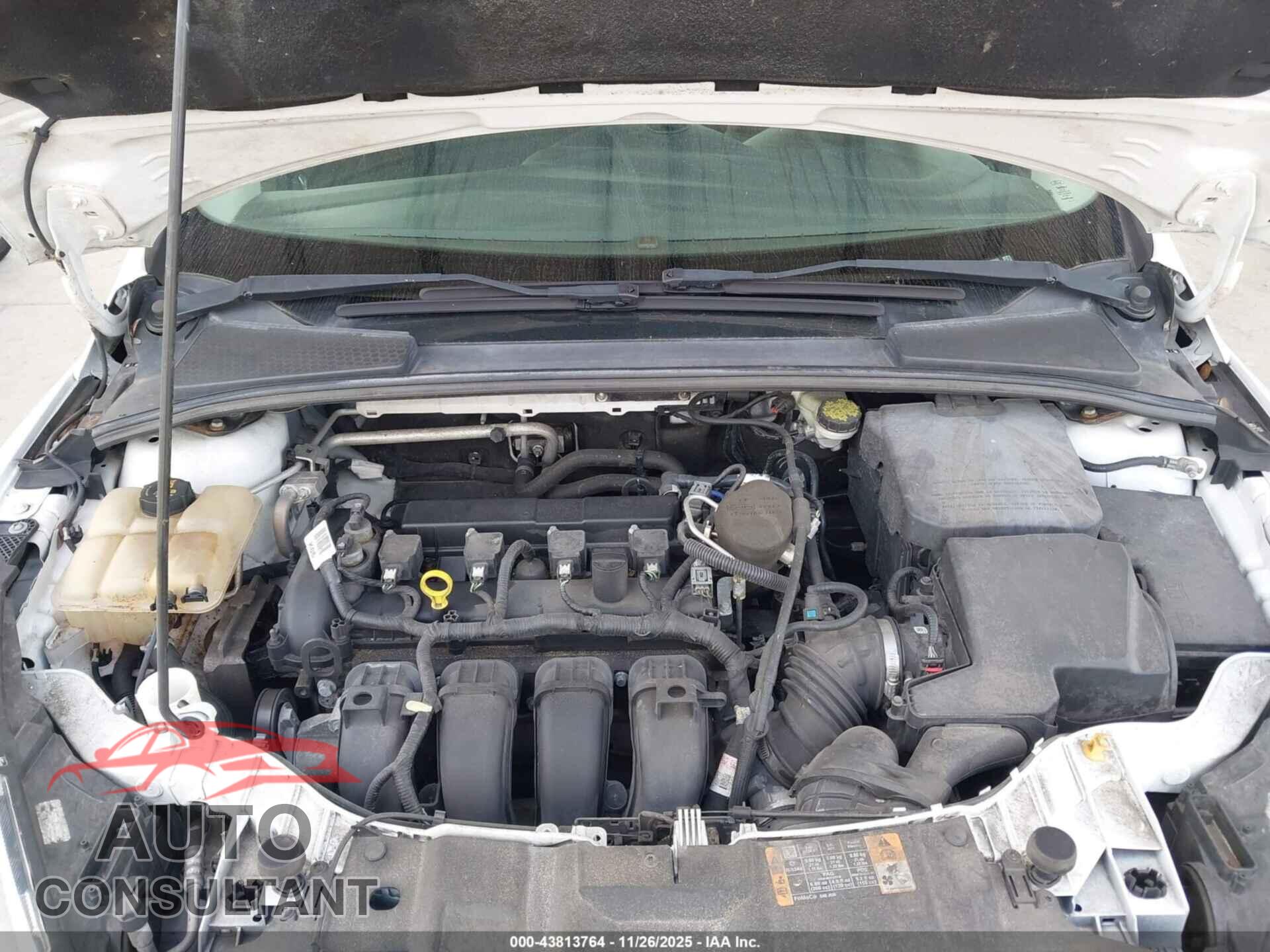 FORD FOCUS 2016 - 1FADP3F21GL207860