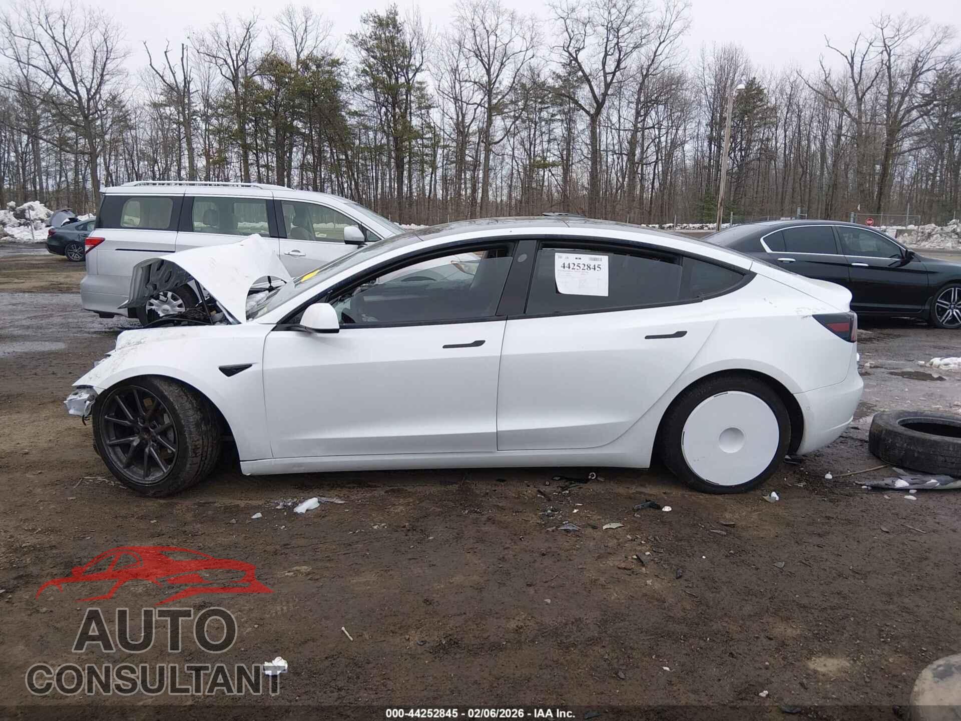 TESLA MODEL 3 2021 - 5YJ3E1EA2MF087848