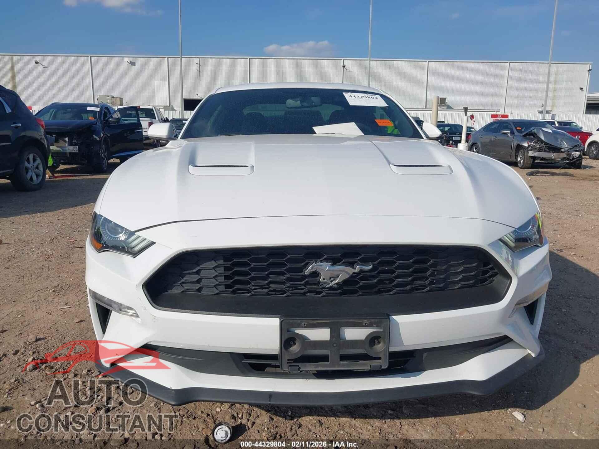 FORD MUSTANG 2019 - 1FA6P8TH2K5117984
