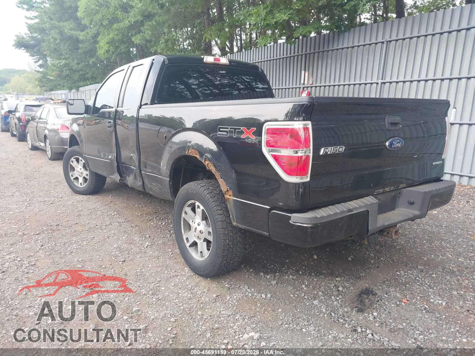 FORD F-150 2013 - 1FTFX1EF4DFD73666