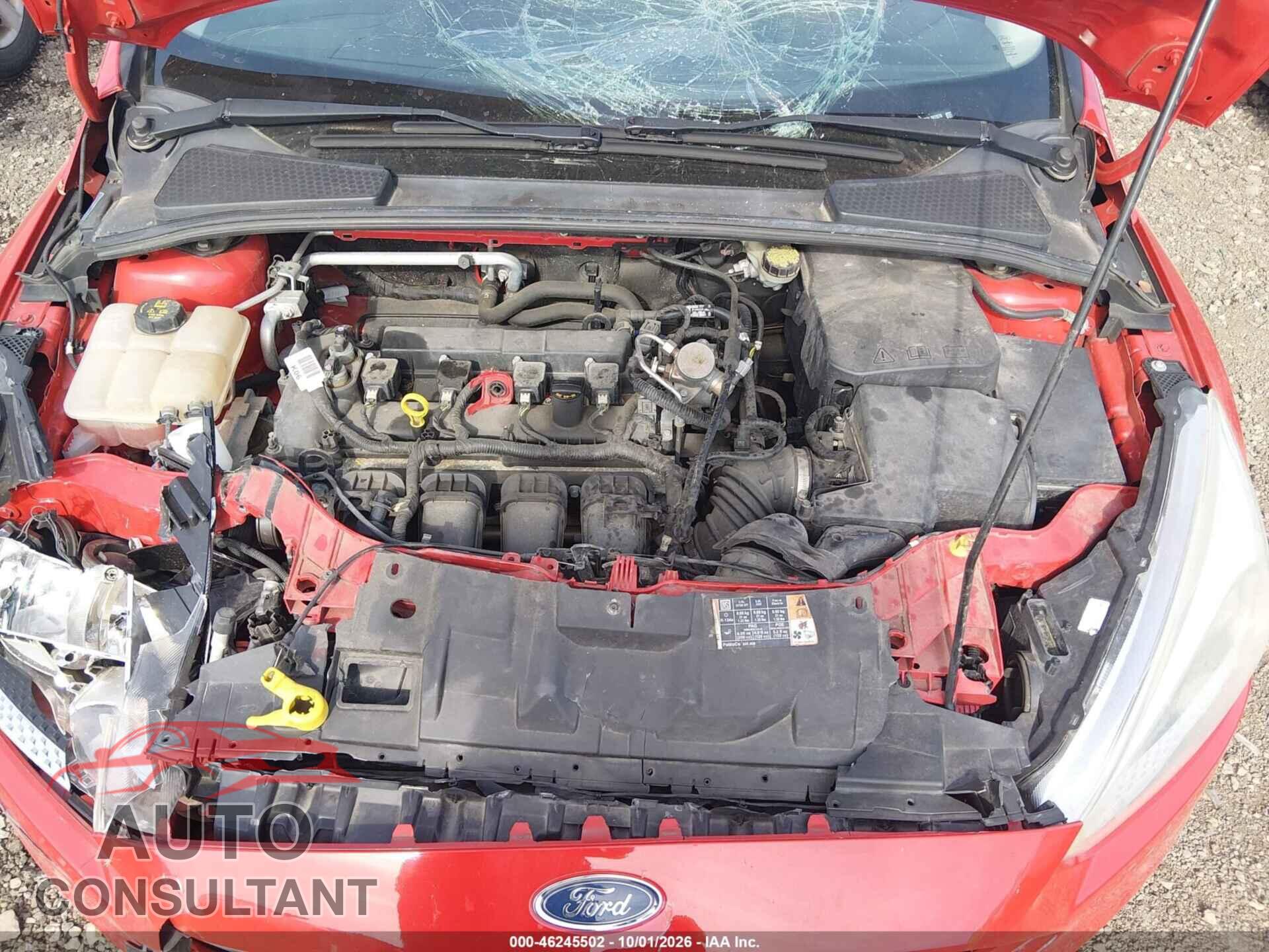FORD FOCUS 2016 - 1FADP3F20GL397876