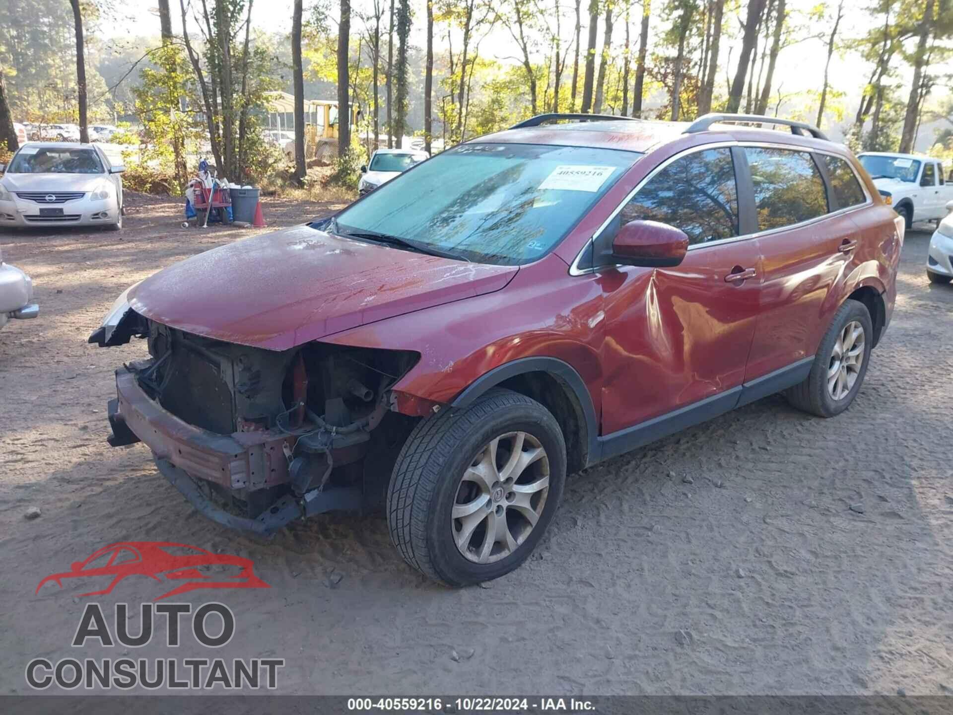 MAZDA CX-9 2011 - JM3TB2CA4B0305096
