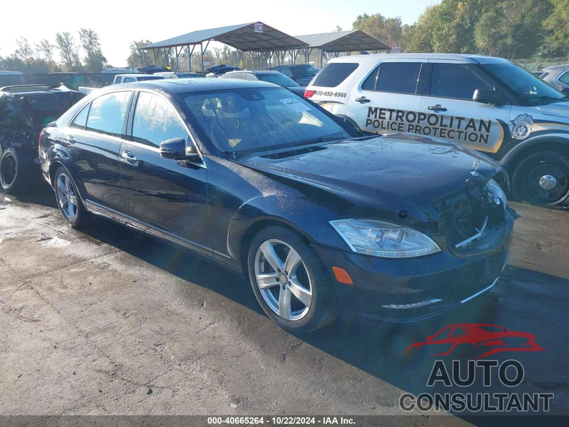 MERCEDES-BENZ S 350 BLUETEC 2013 - WDDNG8DB1DA524534