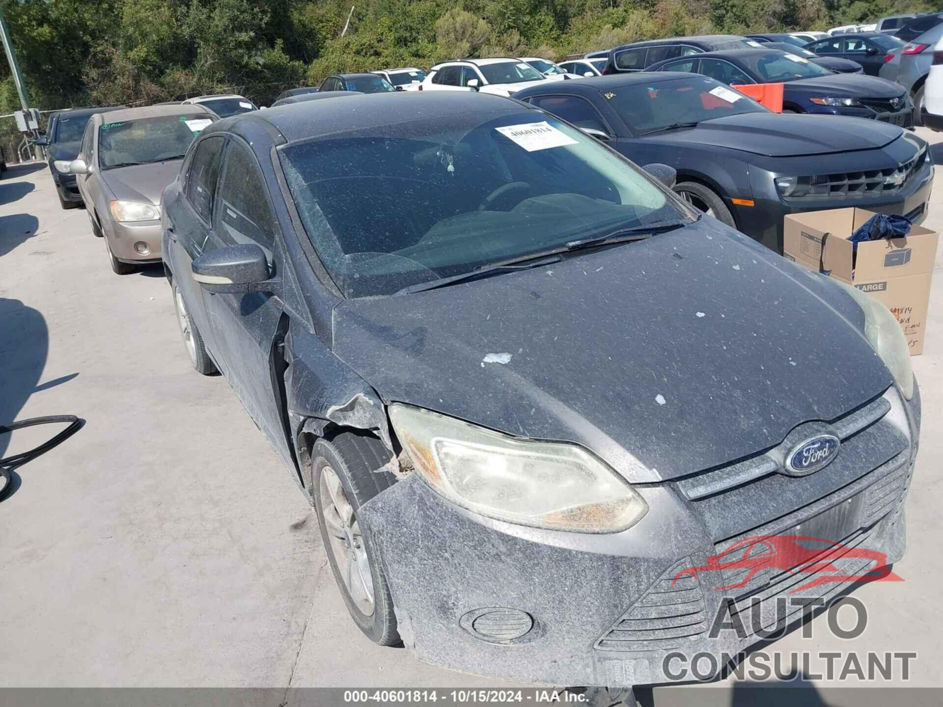 FORD FOCUS 2013 - 1FADP3F2XDL107039