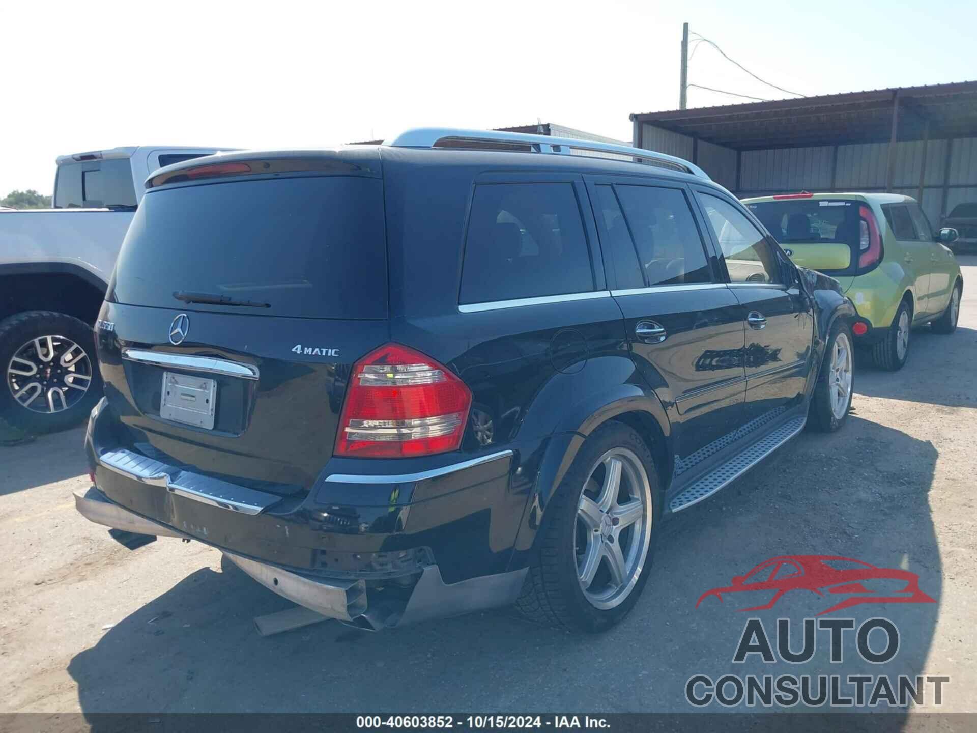 MERCEDES-BENZ GL 550 2009 - 4JGBF86E59A498918