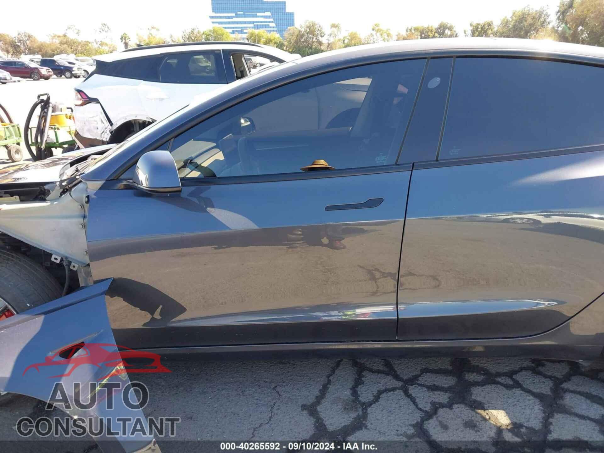 TESLA MODEL 3 2021 - 5YJ3E1EA2MF995975