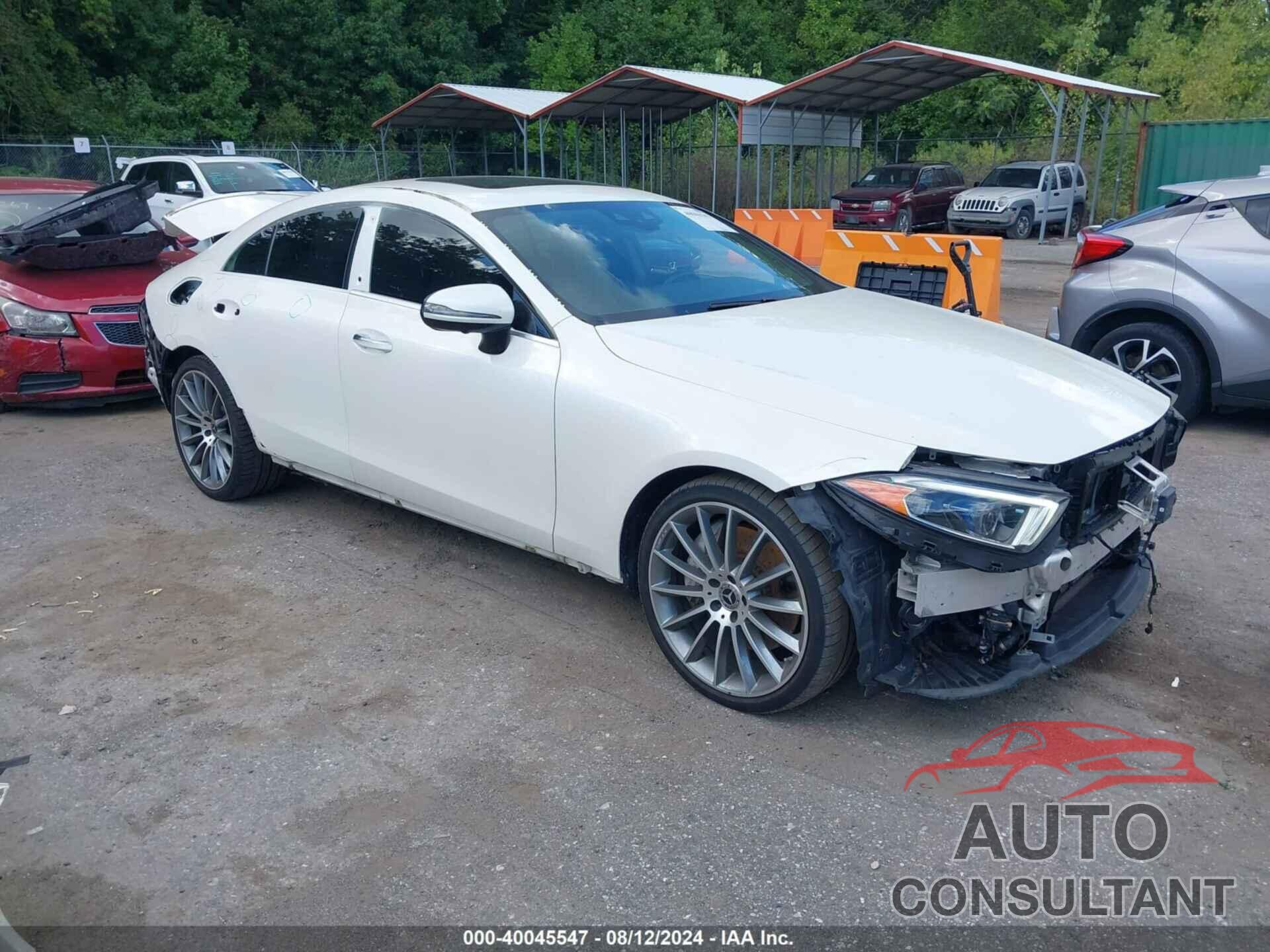 MERCEDES-BENZ CLS 450 2019 - WDD2J5KB9KA016007